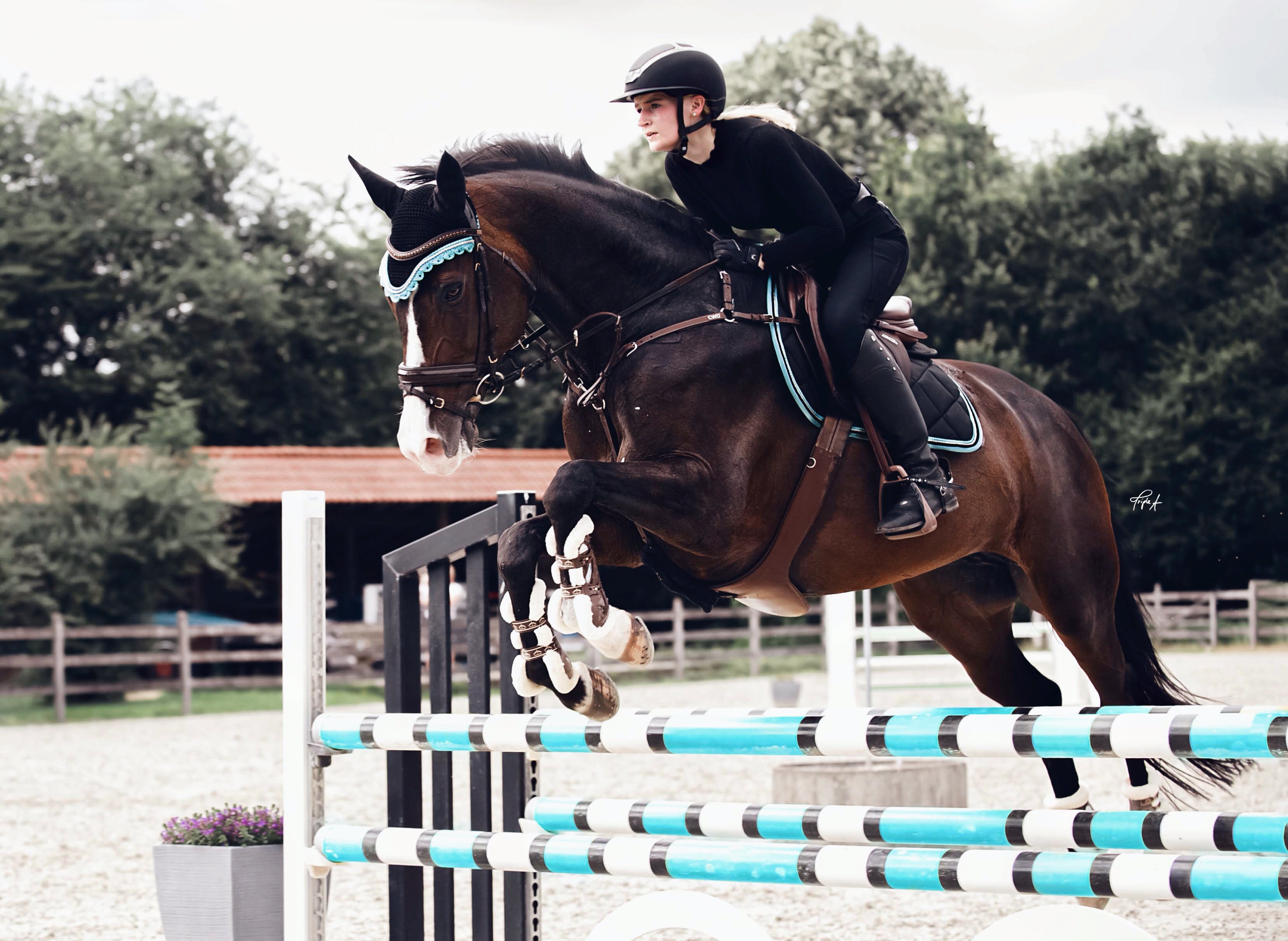 Schabrackenset – SCHWARZ/TÜRKIS
