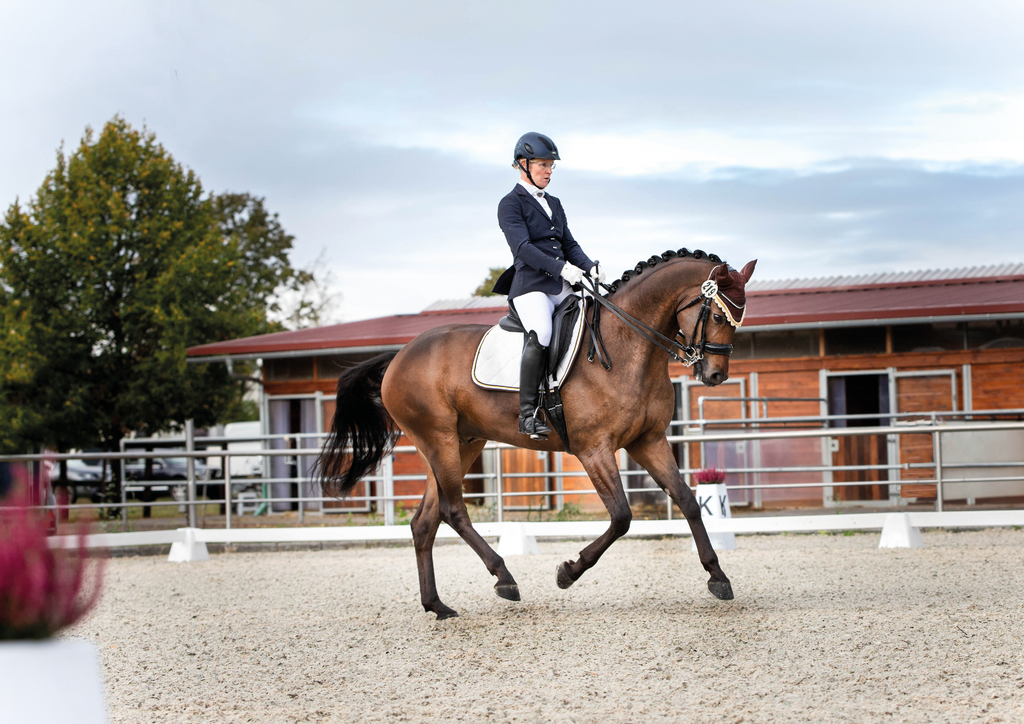 Schabrackenset – WEISS/BRAUN