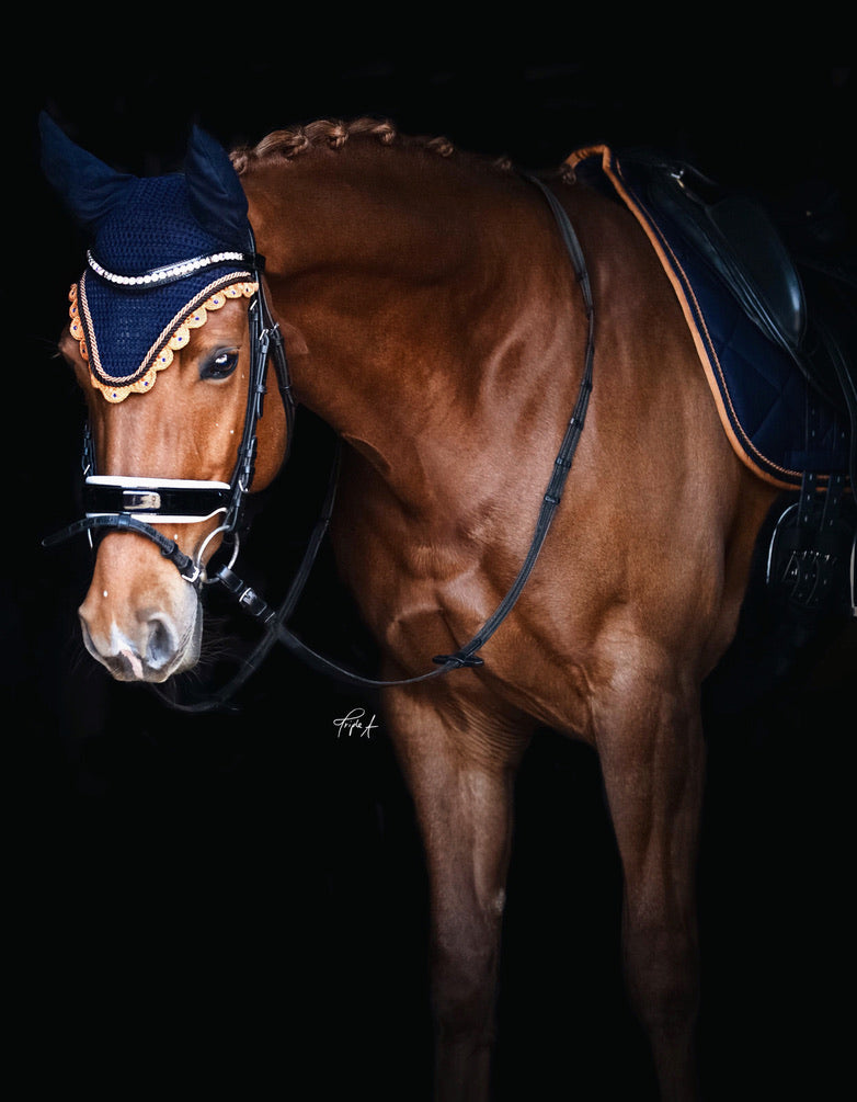 Schabrackenset – BLAU/CREME