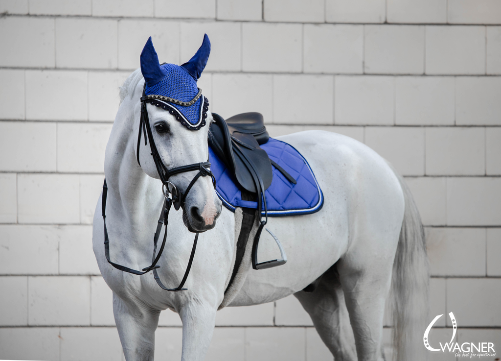 Schabrackenset – ROYALBLAU/BLAU