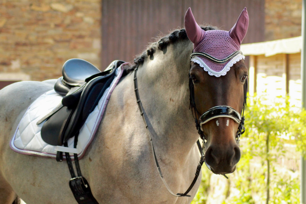 Schabrackenset – WEISS/ALTROSÉ