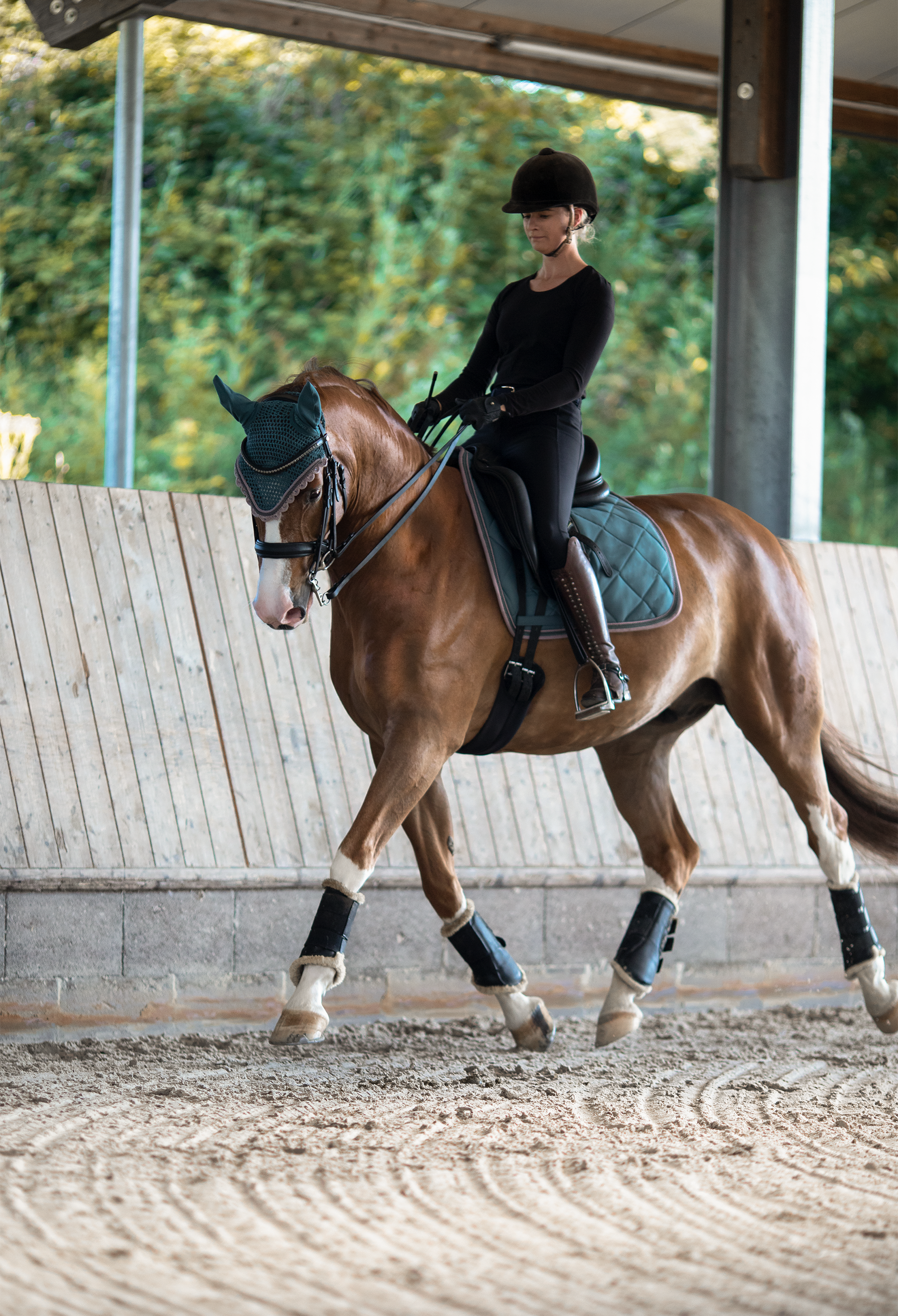 Schabrackenset – VINTAGE/VIOLETT