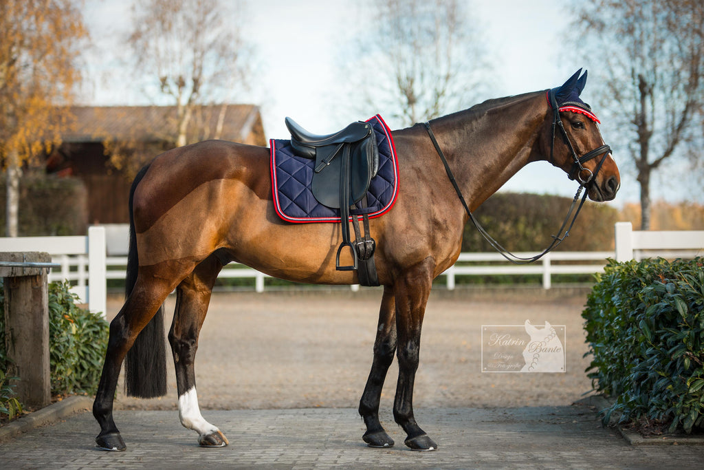 Schabrackenset – BLAU/ROT