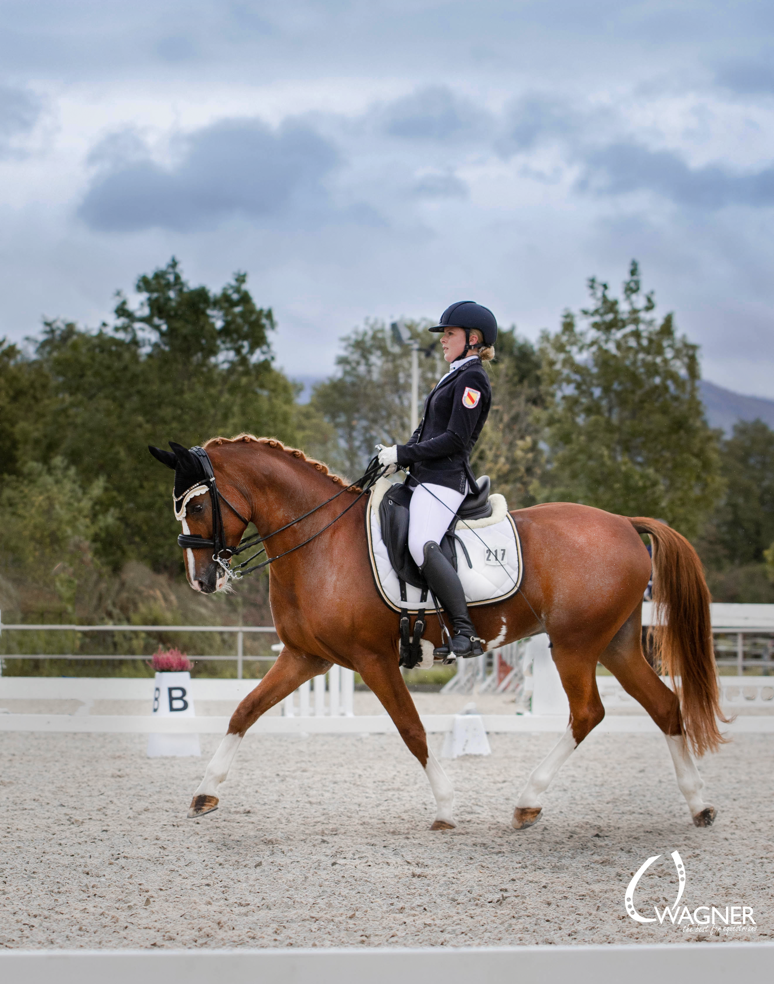 Schabrackenset – WEISS/GOLD