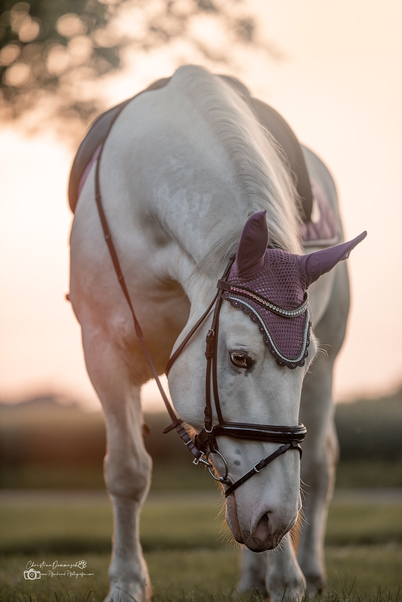 Schabrackenset – ALTROSÉ