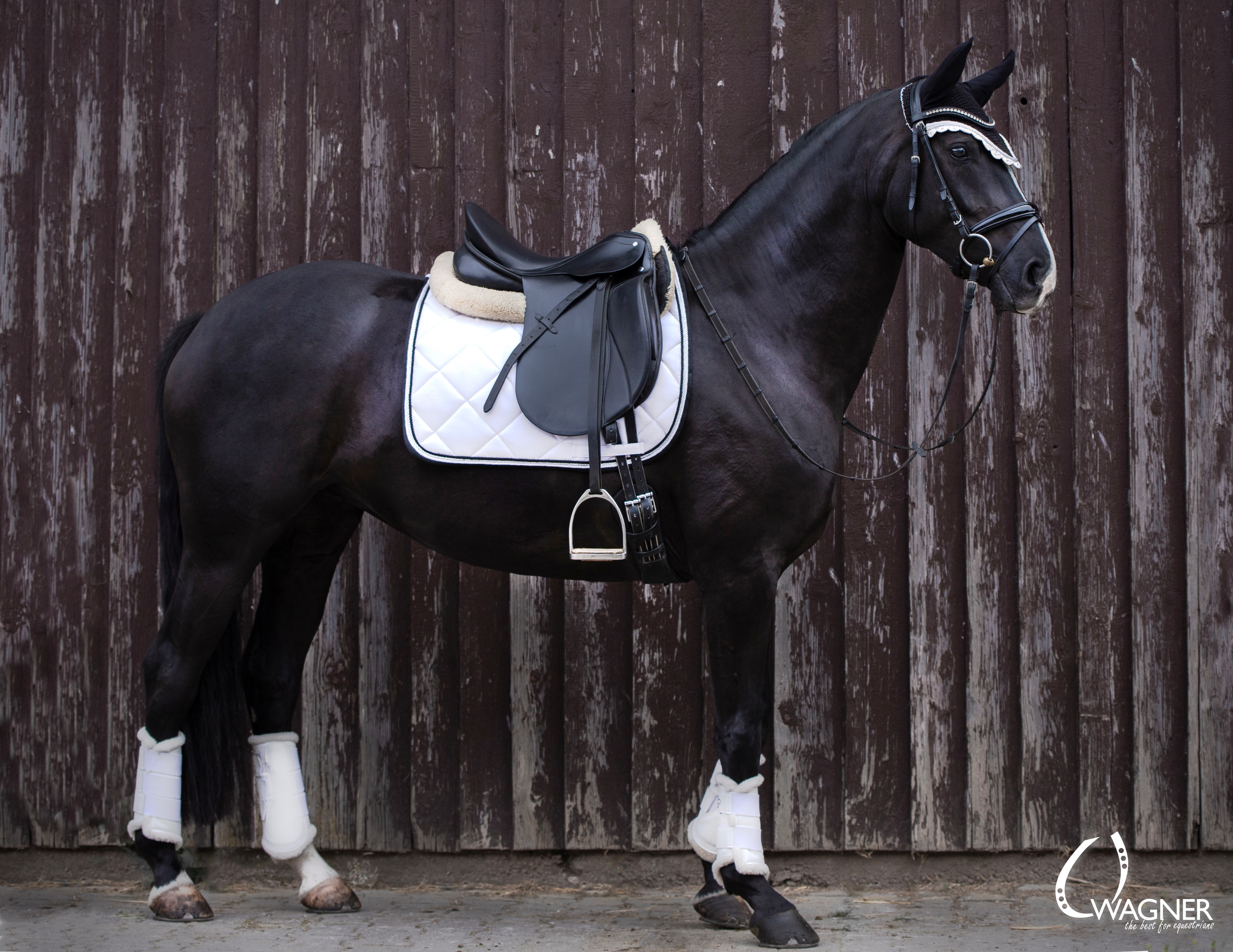 Schabrackenset – WEISS/SCHWARZ