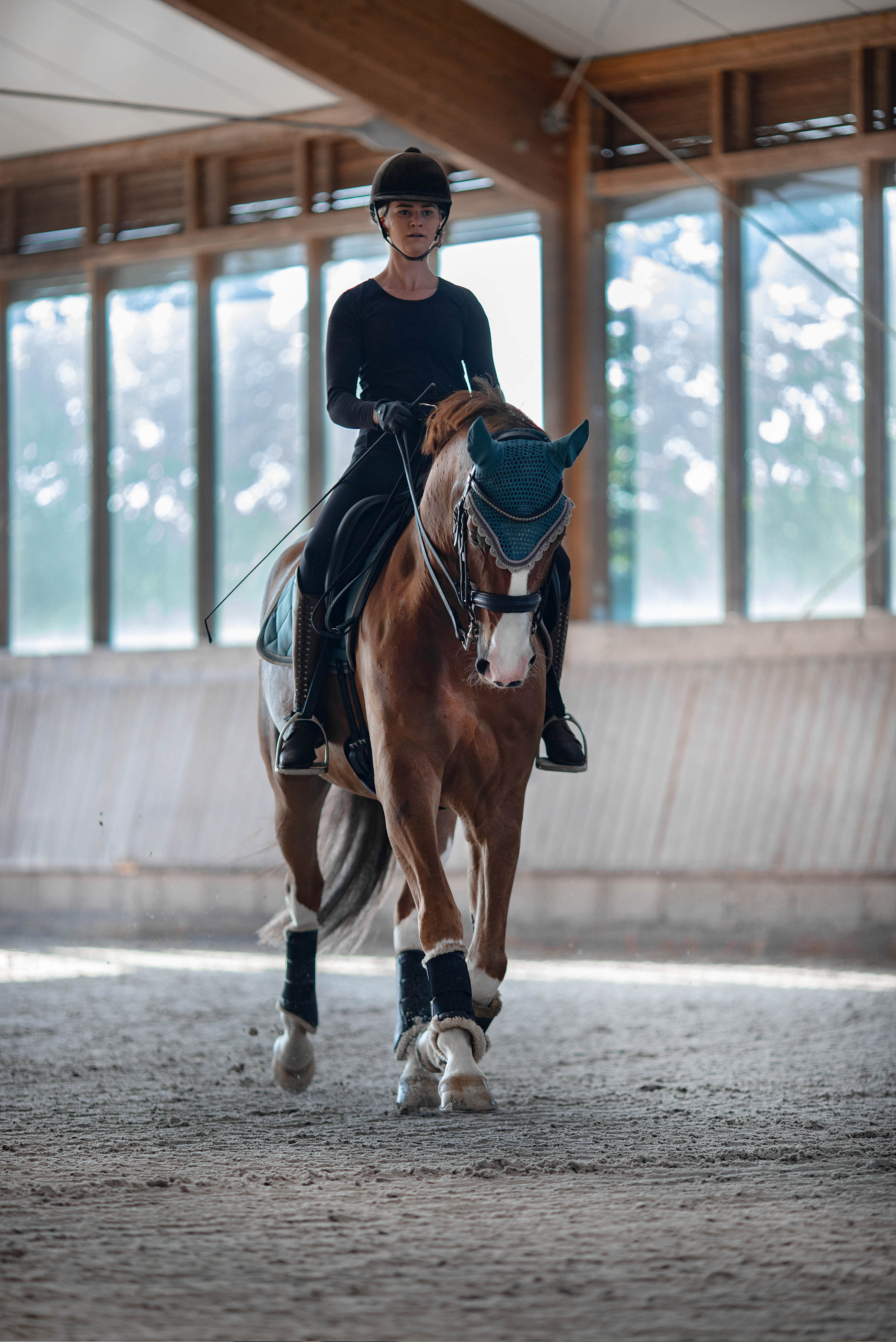 Schabrackenset – VINTAGE/VIOLETT