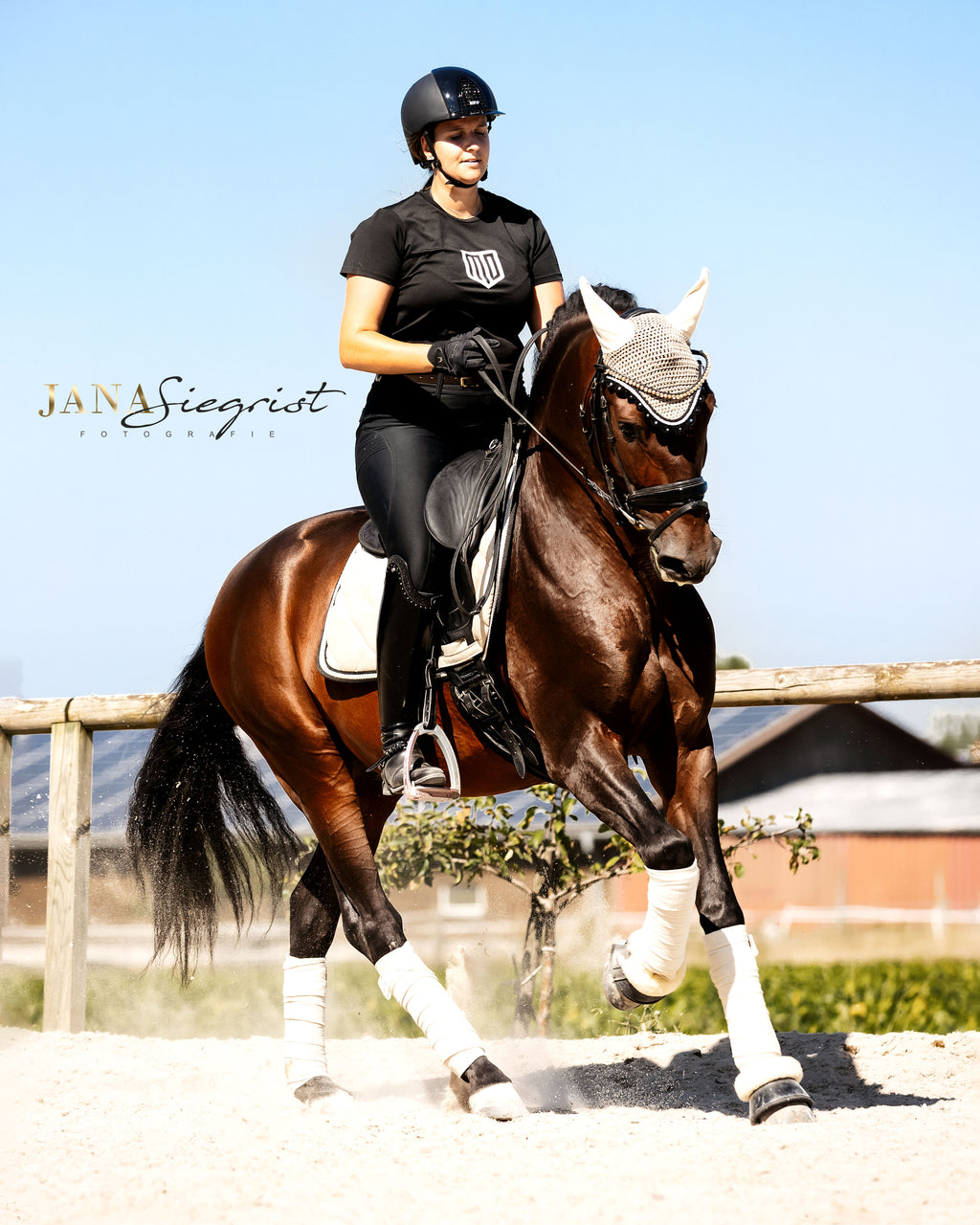 Schabrackenset – SAND