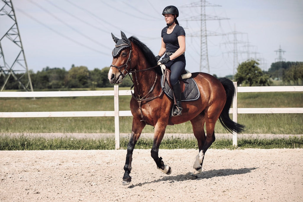 Schabrackenset – GRAU/BLAU