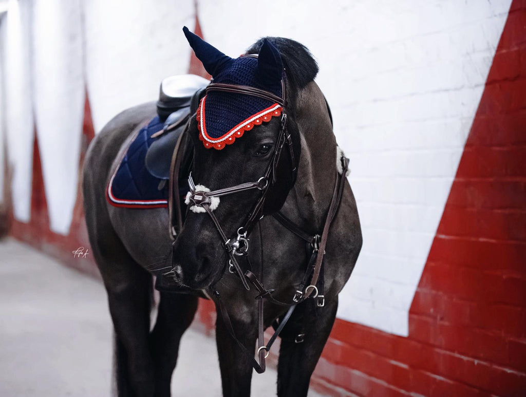 Schabrackenset – BLAU/ROT