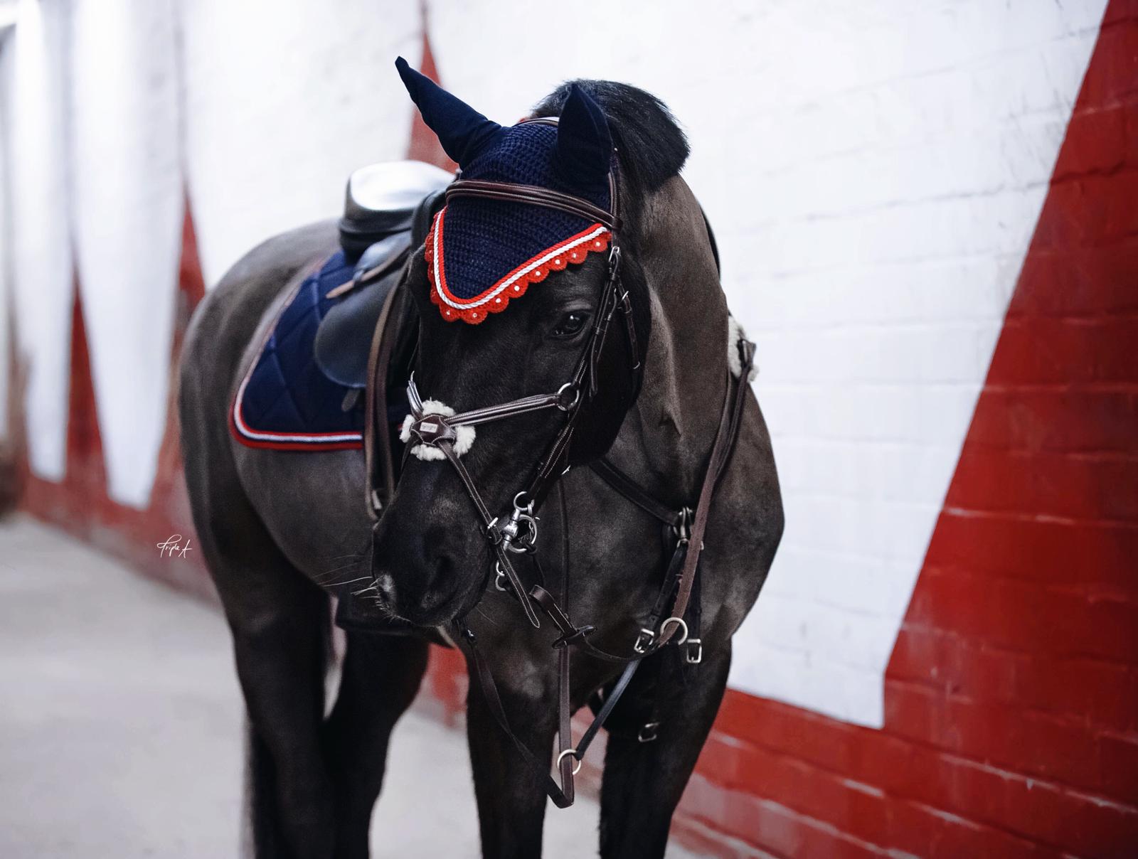 Schabrackenset – BLAU/ROT