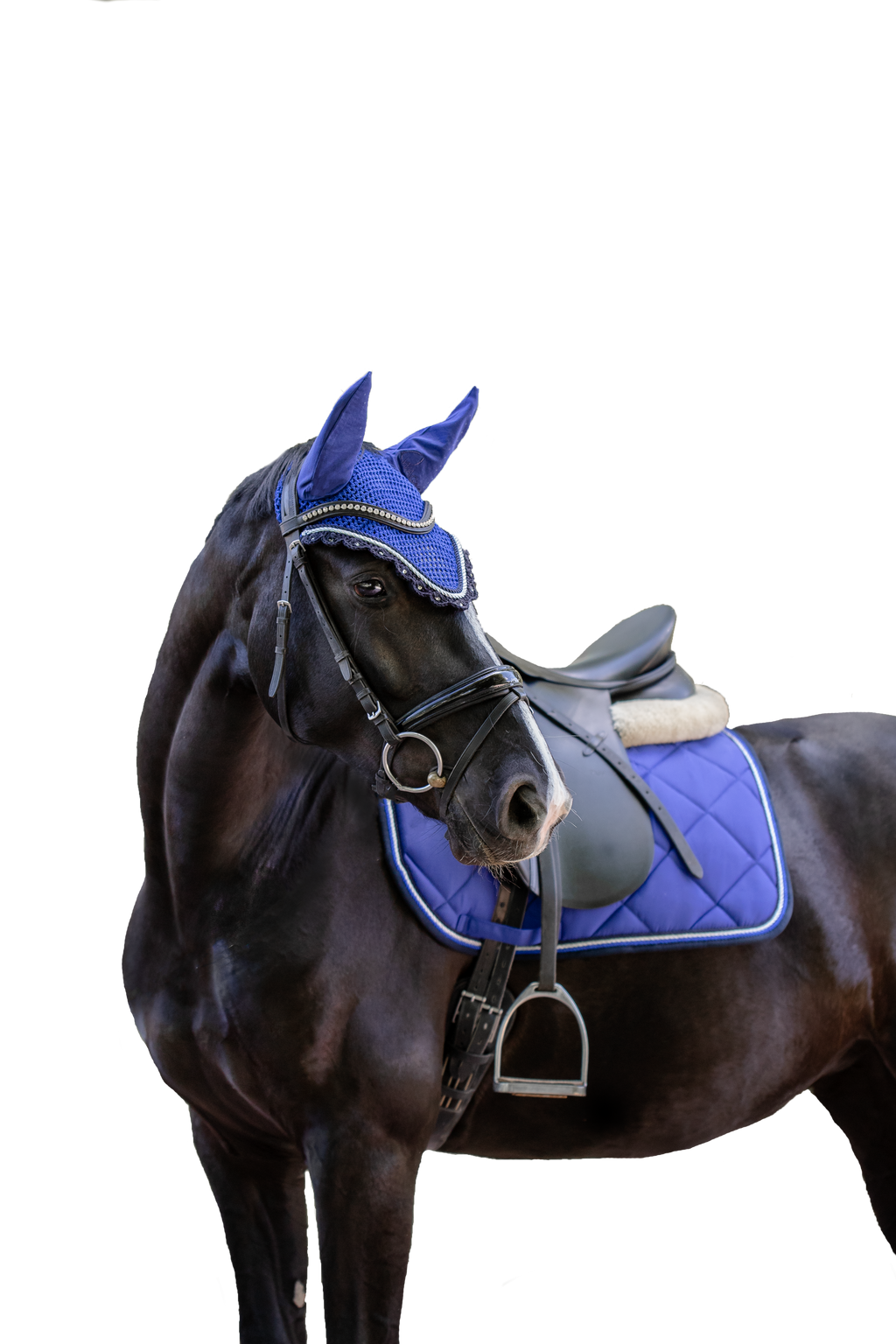 Schabrackenset – ROYALBLAU/BLAU