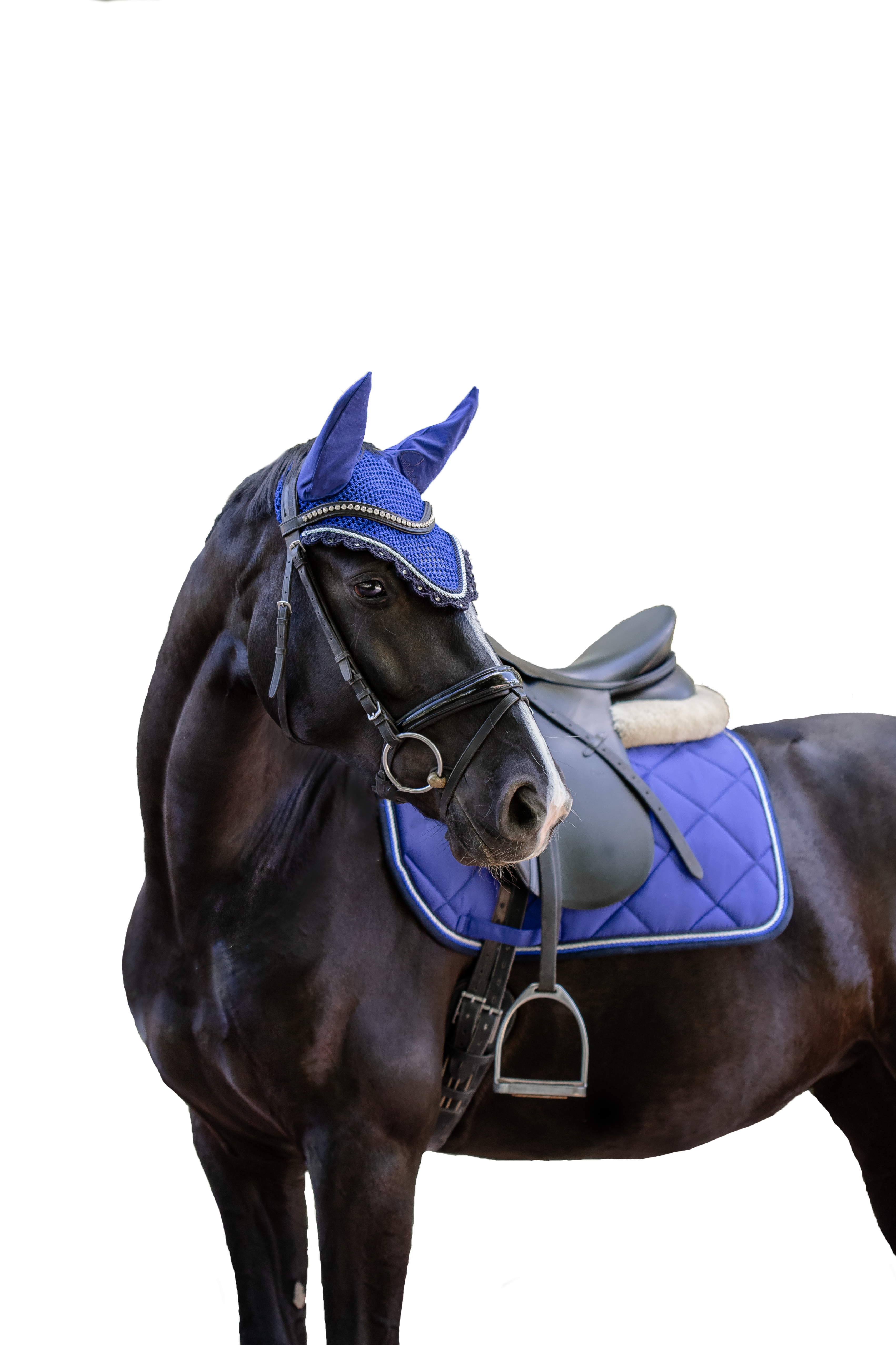 Schabrackenset – ROYALBLAU/BLAU