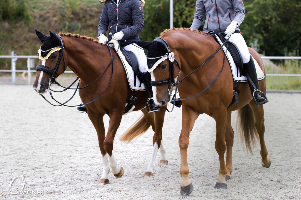 Schabrackenset – WEISS/GOLD