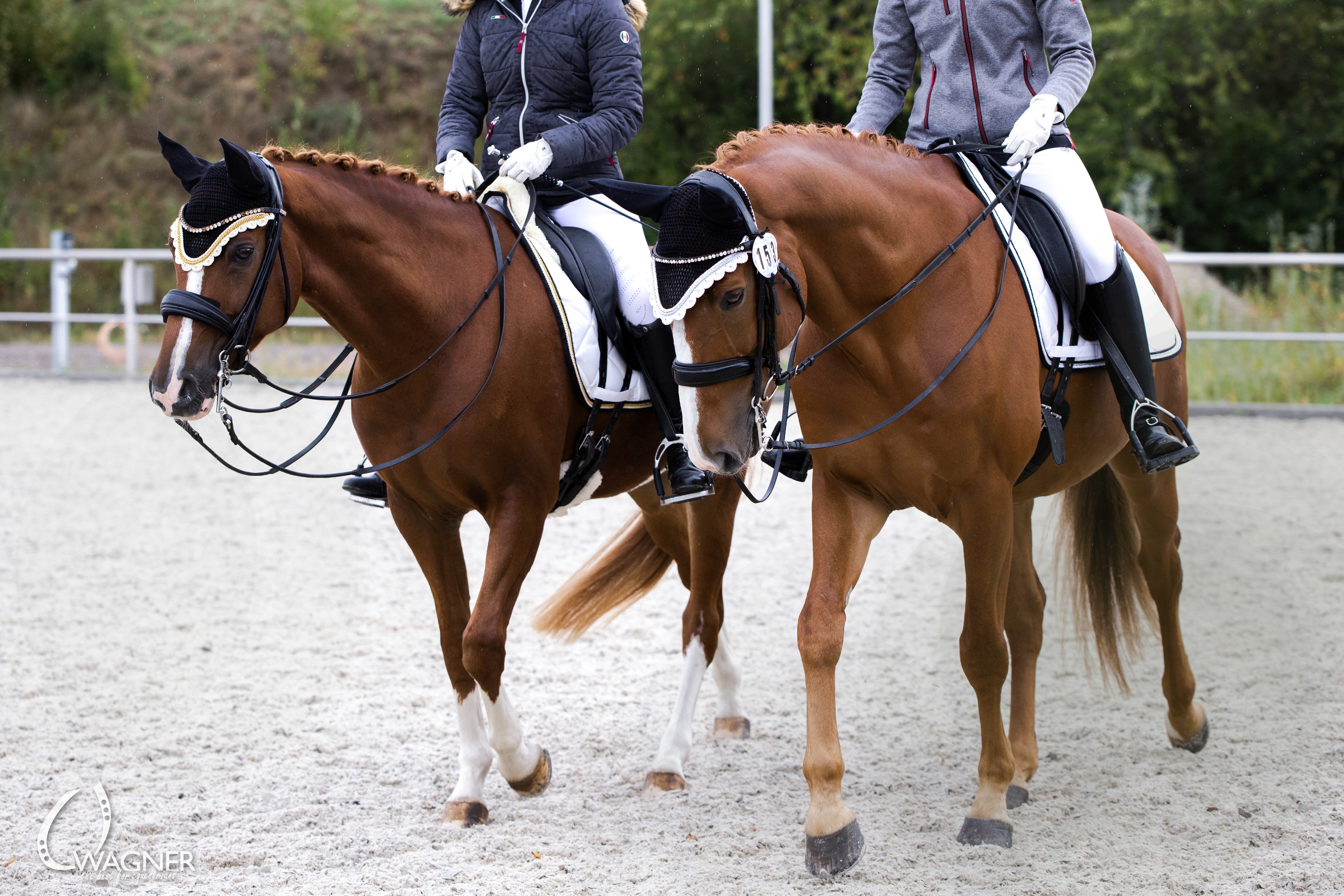 Schabrackenset – WEISS/GOLD