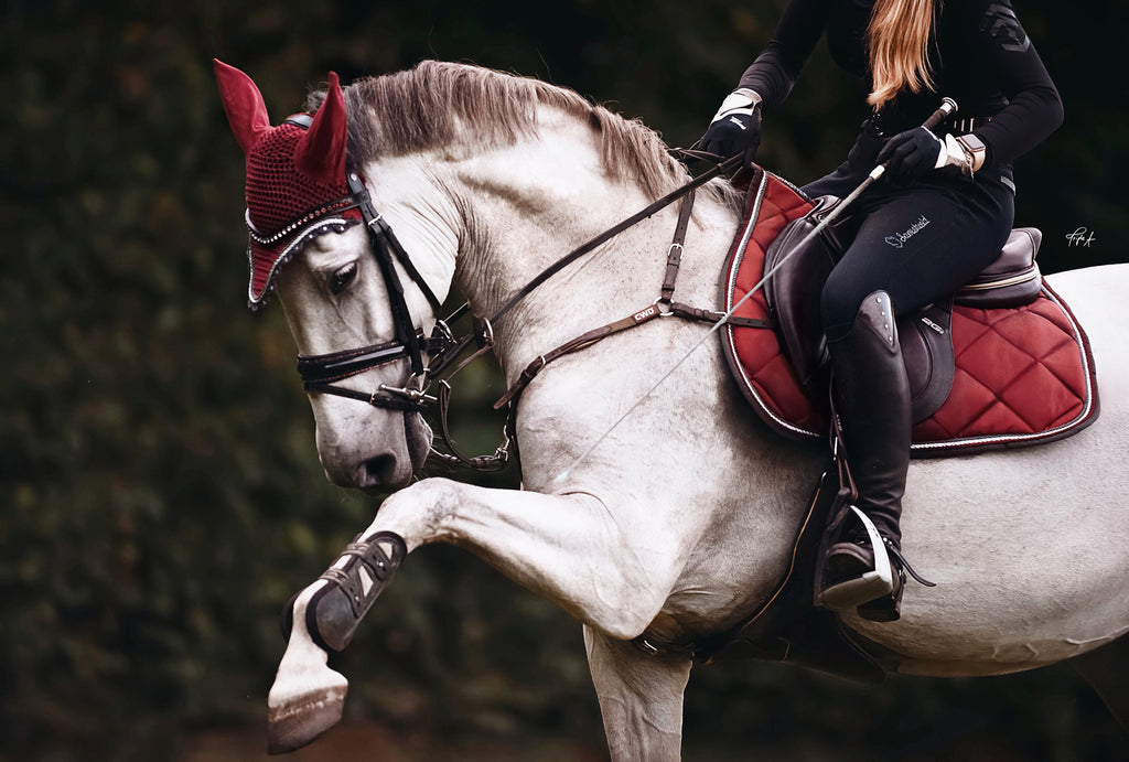 Schabrackenset – BORDEAUX