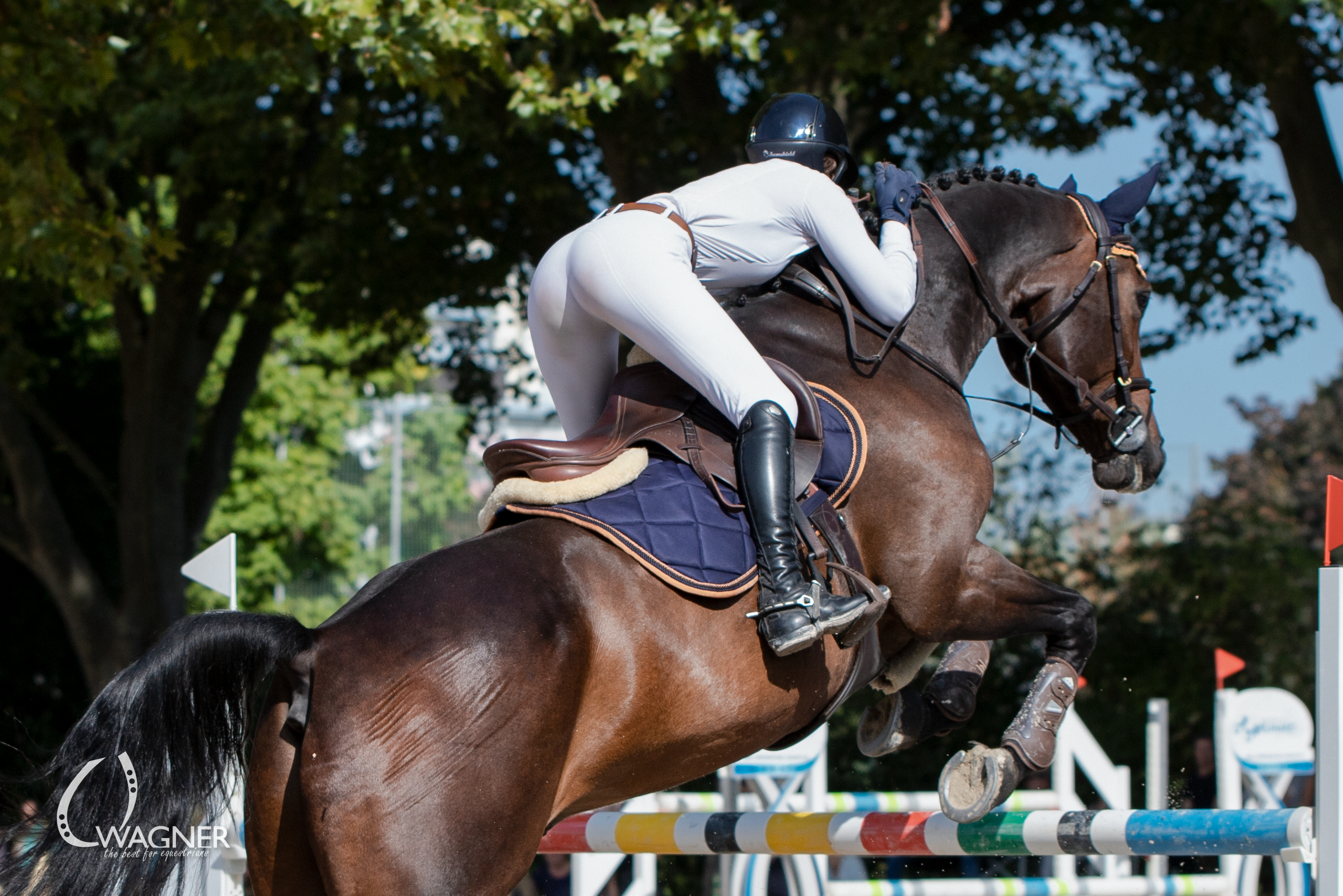 Schabrackenset – BLAU/CREME