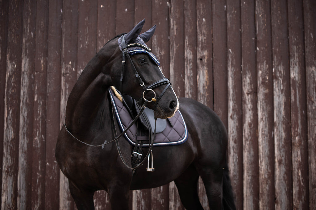 Schabrackenset – GRAU/BLAU