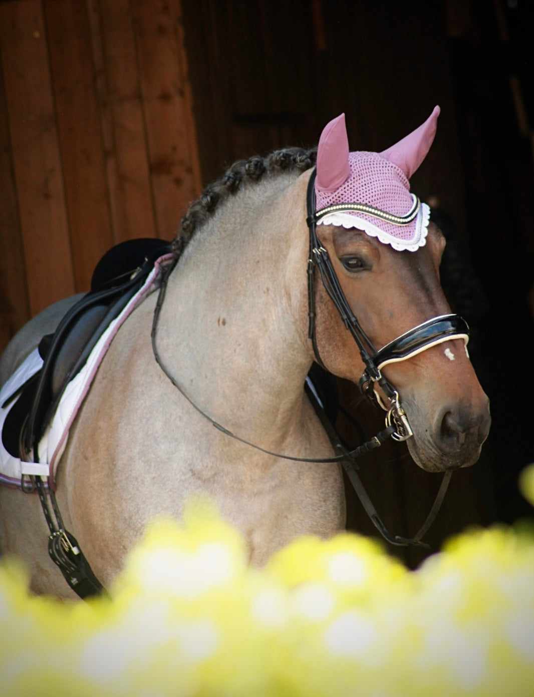 Schabrackenset – WEISS/ALTROSÉ