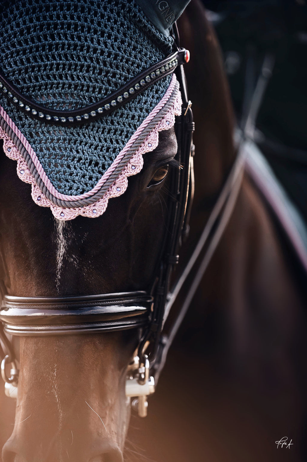 Schabrackenset – VINTAGE/VIOLETT