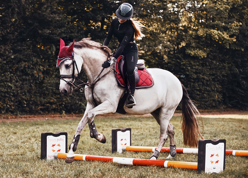 Schabrackenset – BORDEAUX