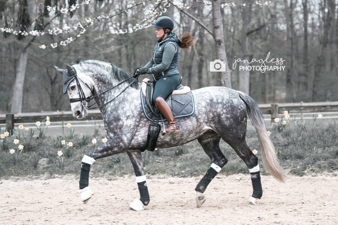 Schabrackenset – GRAU/BLAU