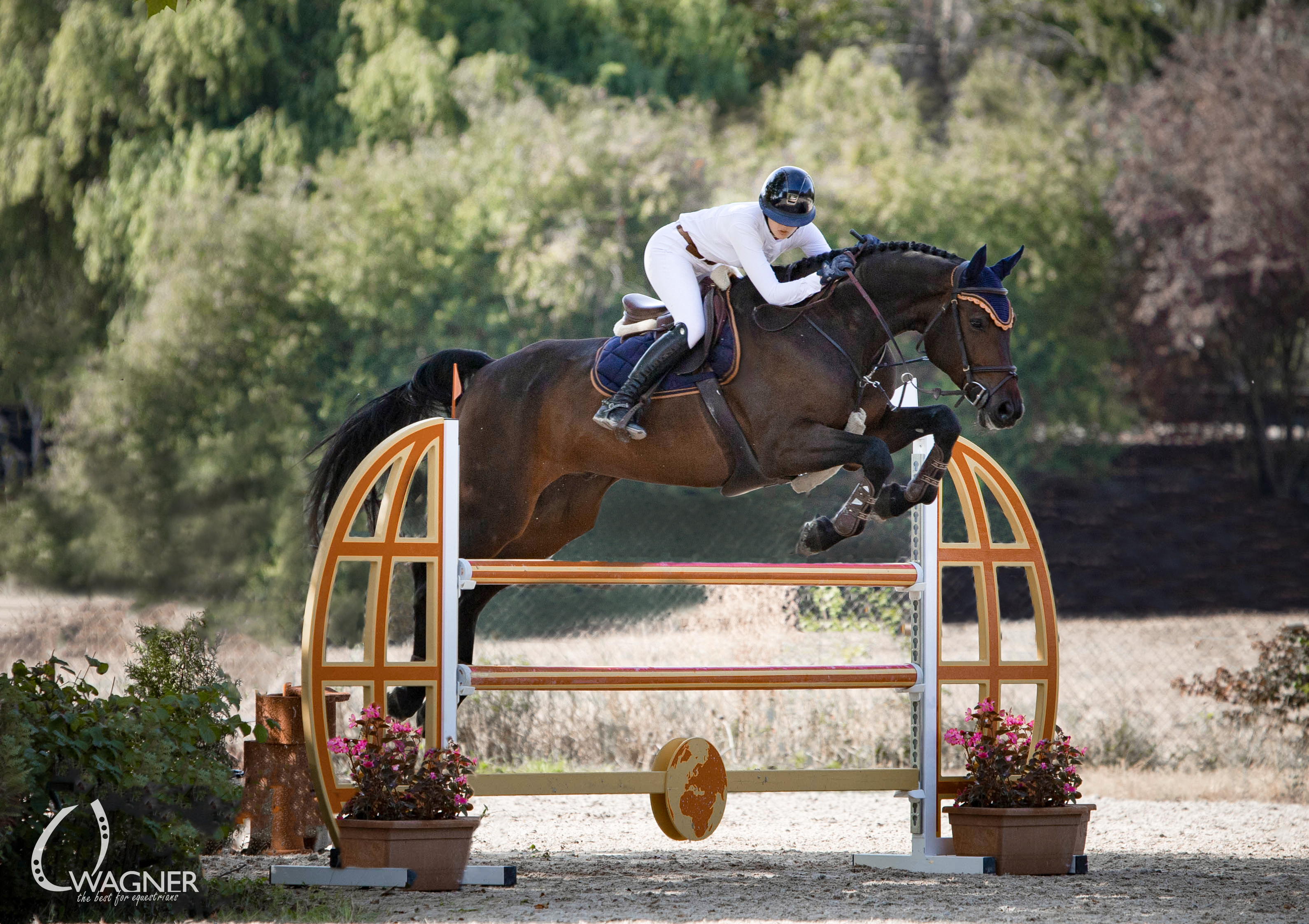 Schabrackenset – BLAU/CREME