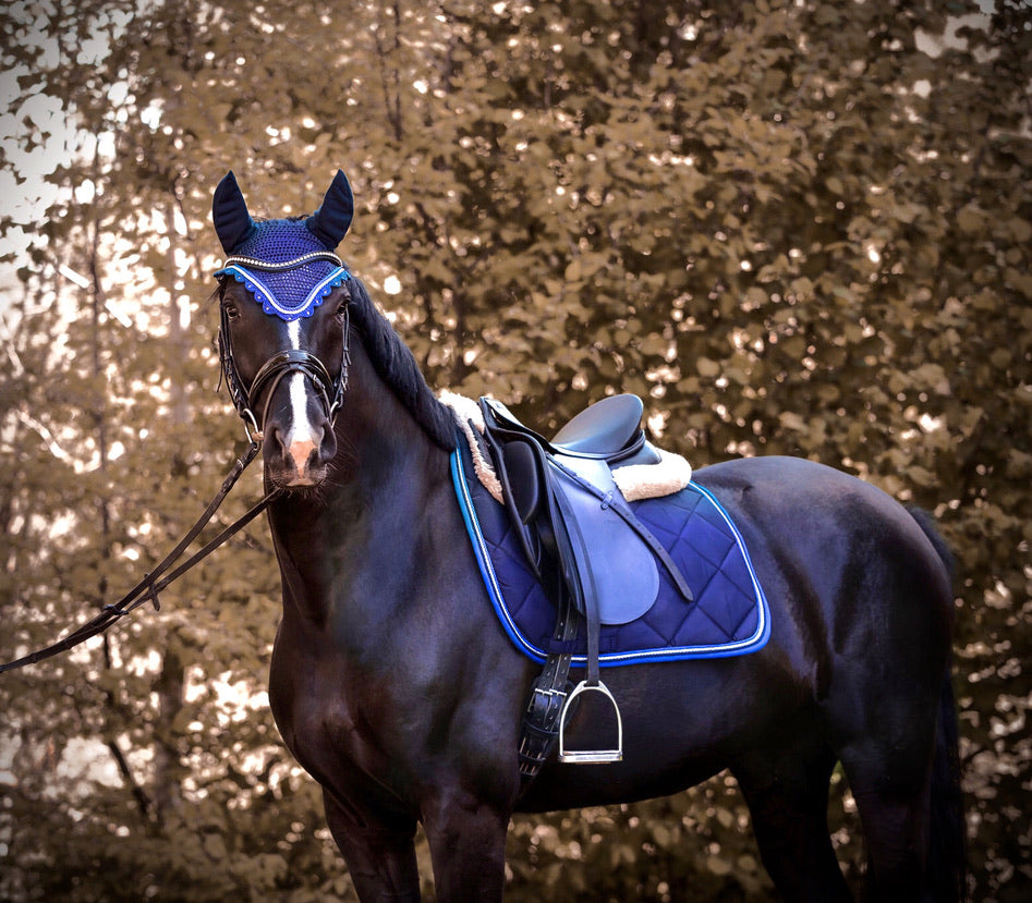 Schabrackenset – BLAU/ROYALBLAU