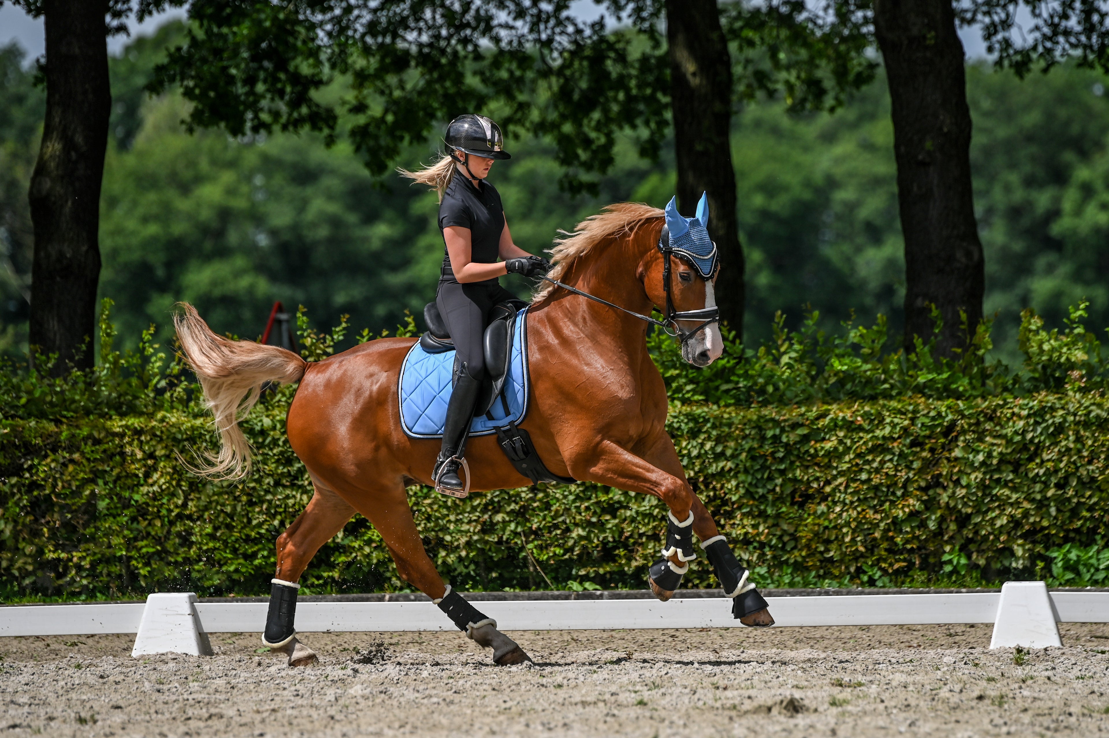 Schabrackenset – BABYBLAU