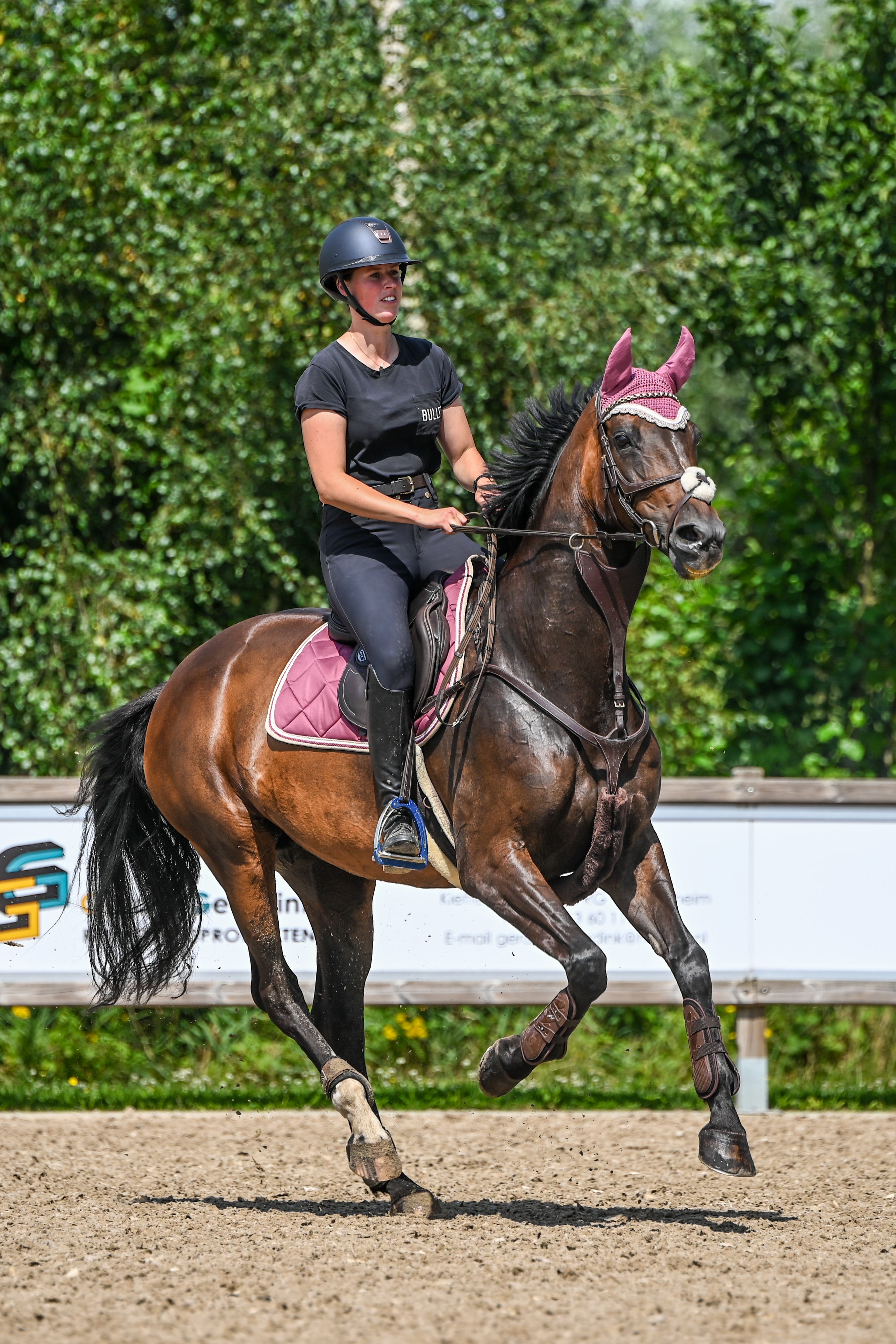 Schabrackenset – BEERE