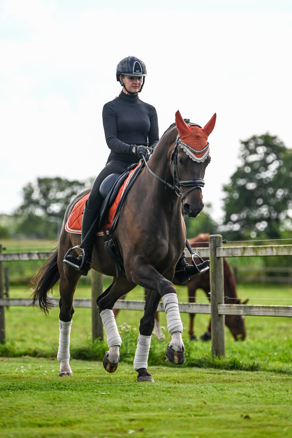 Schabrackenset – ORANGE