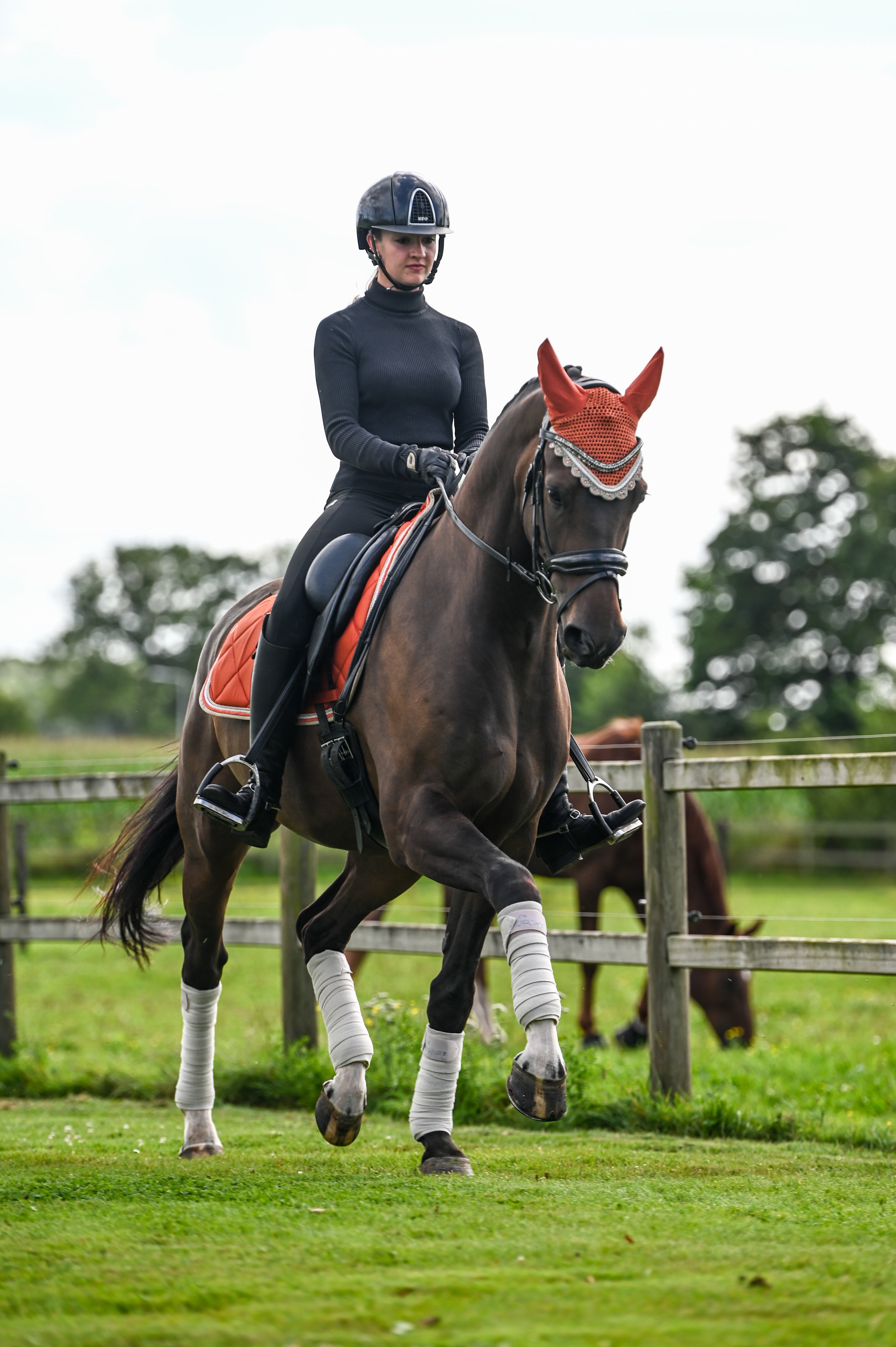 Schabrackenset – ORANGE