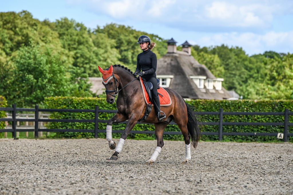 Schabrackenset – ORANGE