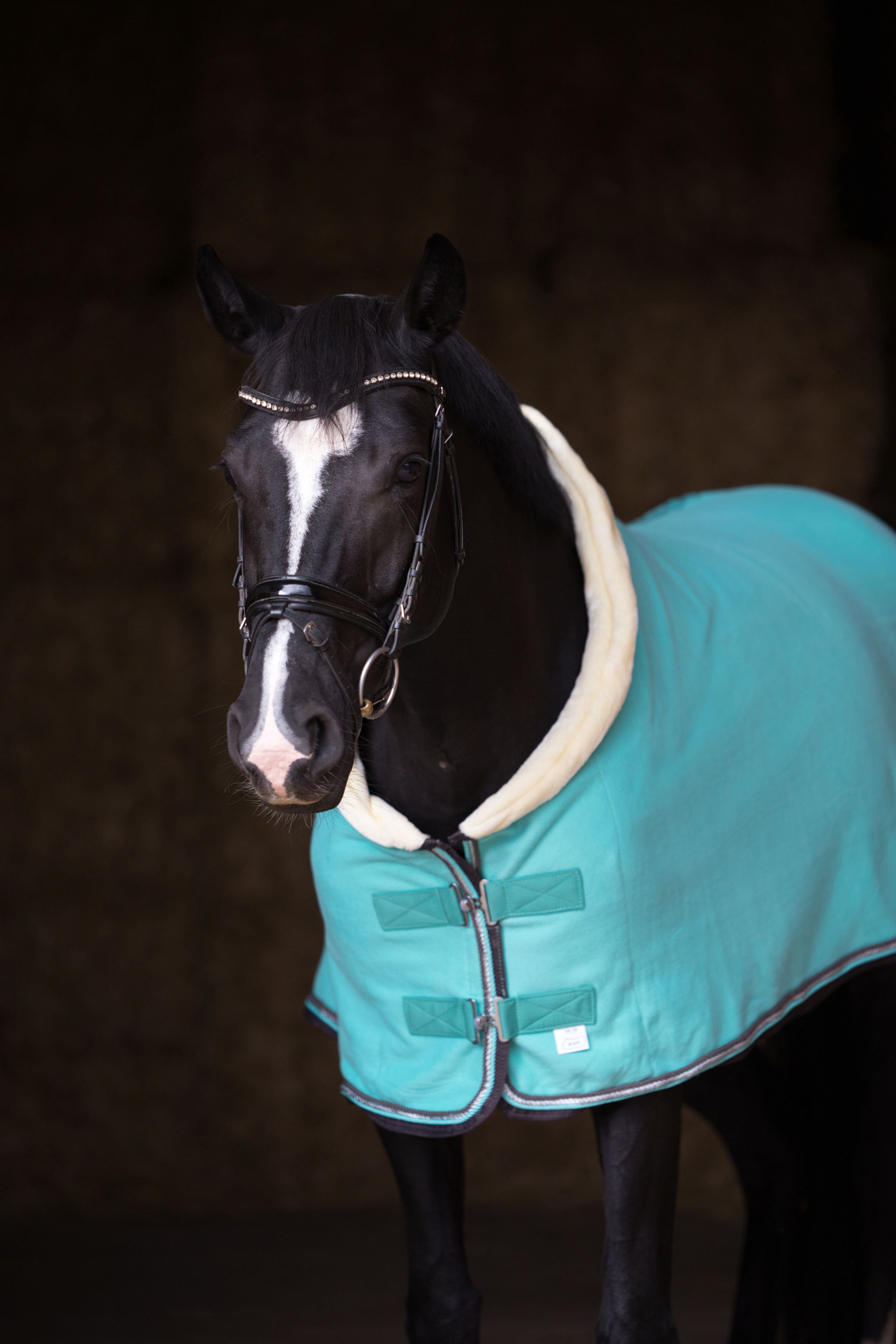 Fleece Abschwitzdecke Türkis-Grau