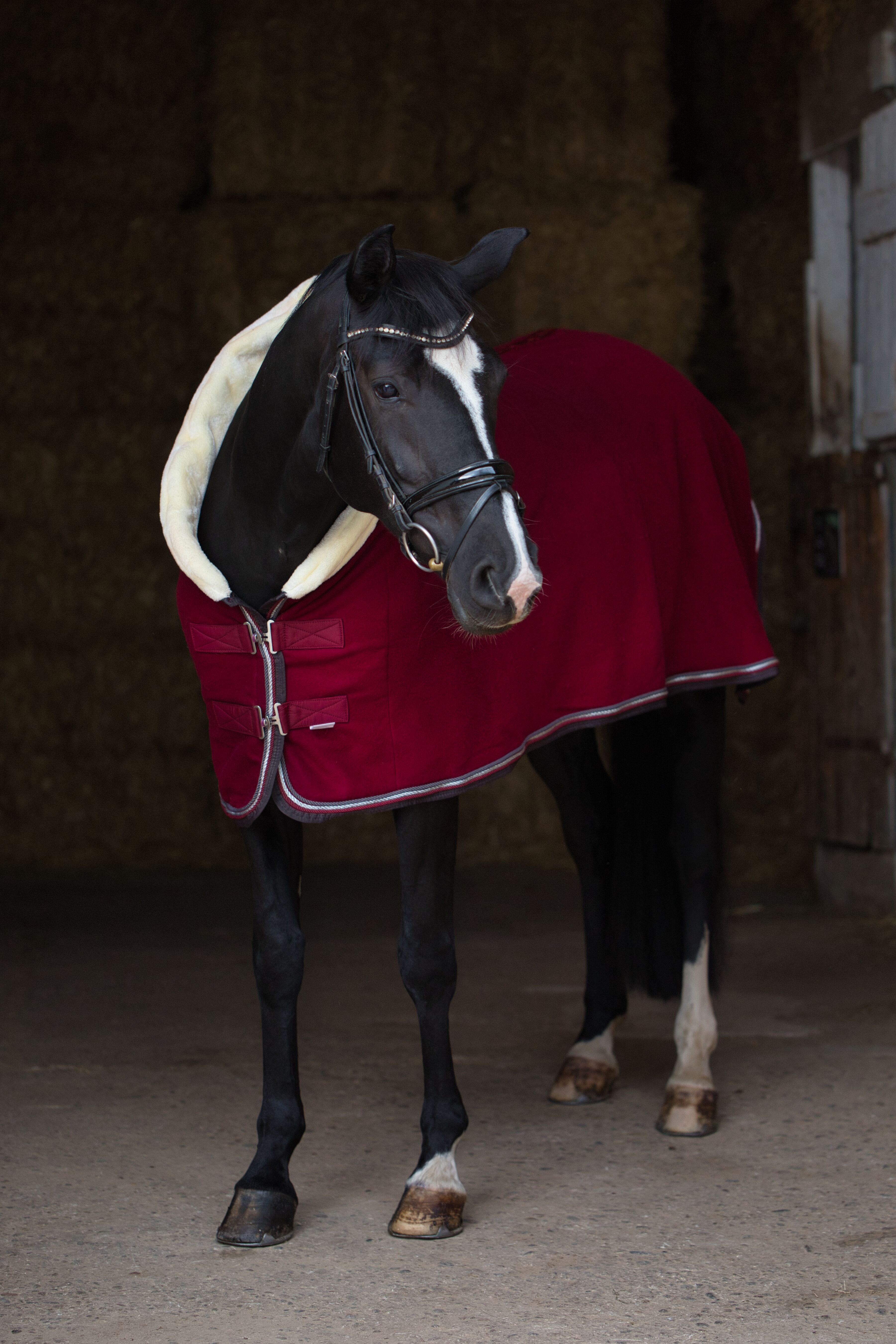 Fleece Abschwitzdecke Bordeaux-Grau