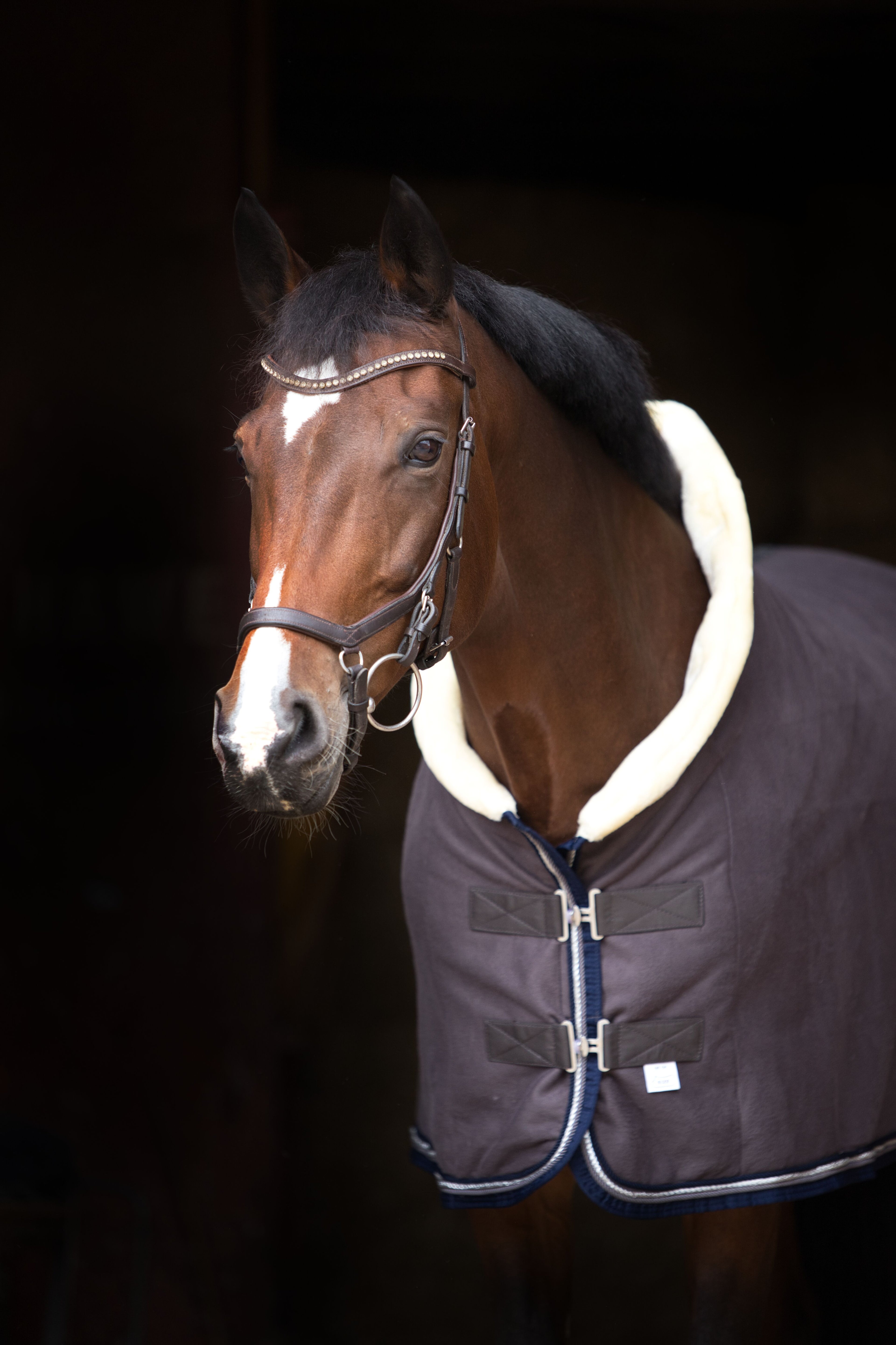 Fleece Abschwitzdecke Grau-Blau