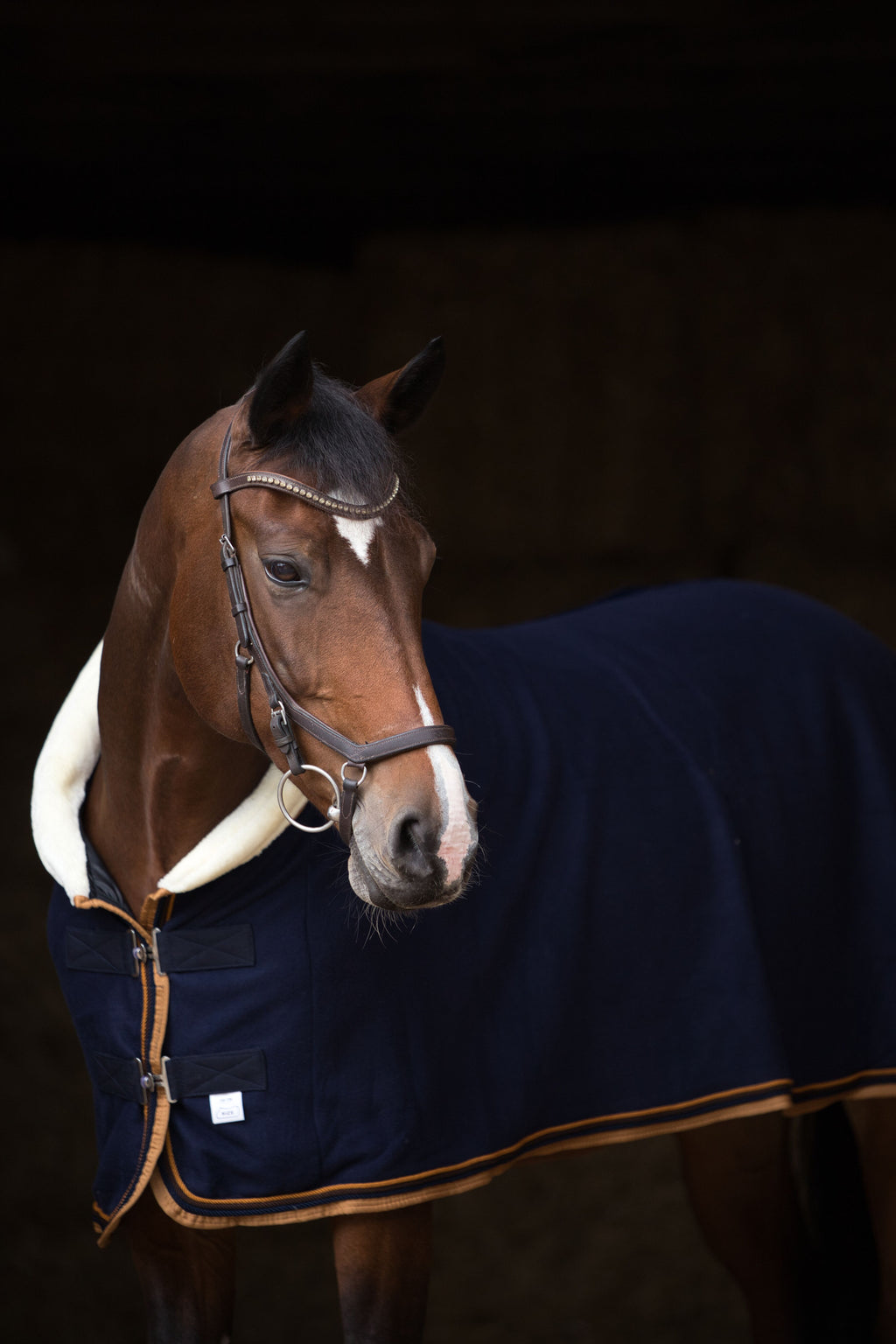 Fleece Abschwitzdecke Blau-Creme