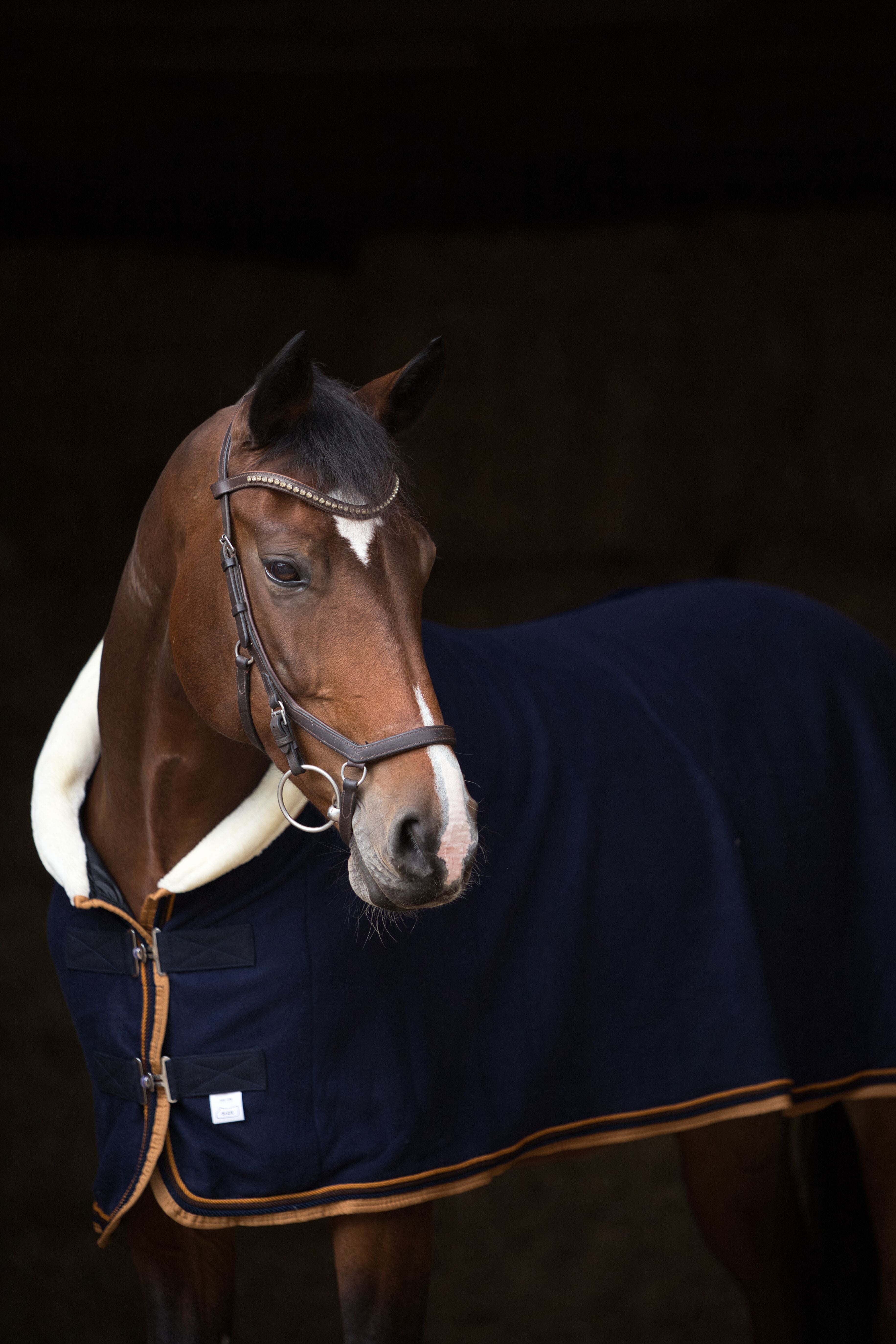 Fleece Abschwitzdecke Blau-Creme