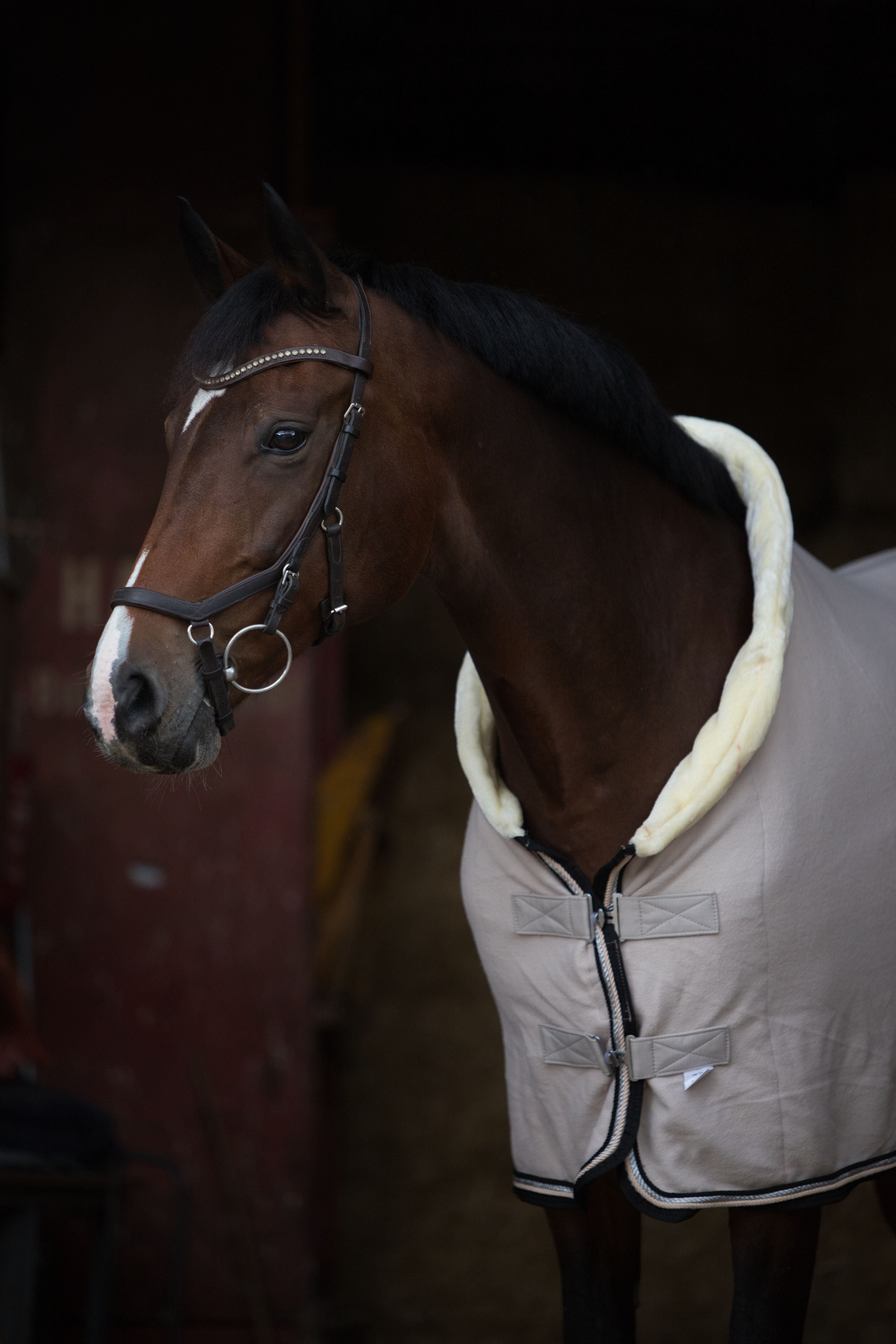 Fleece Abschwitzdecke Sand-Schwarz