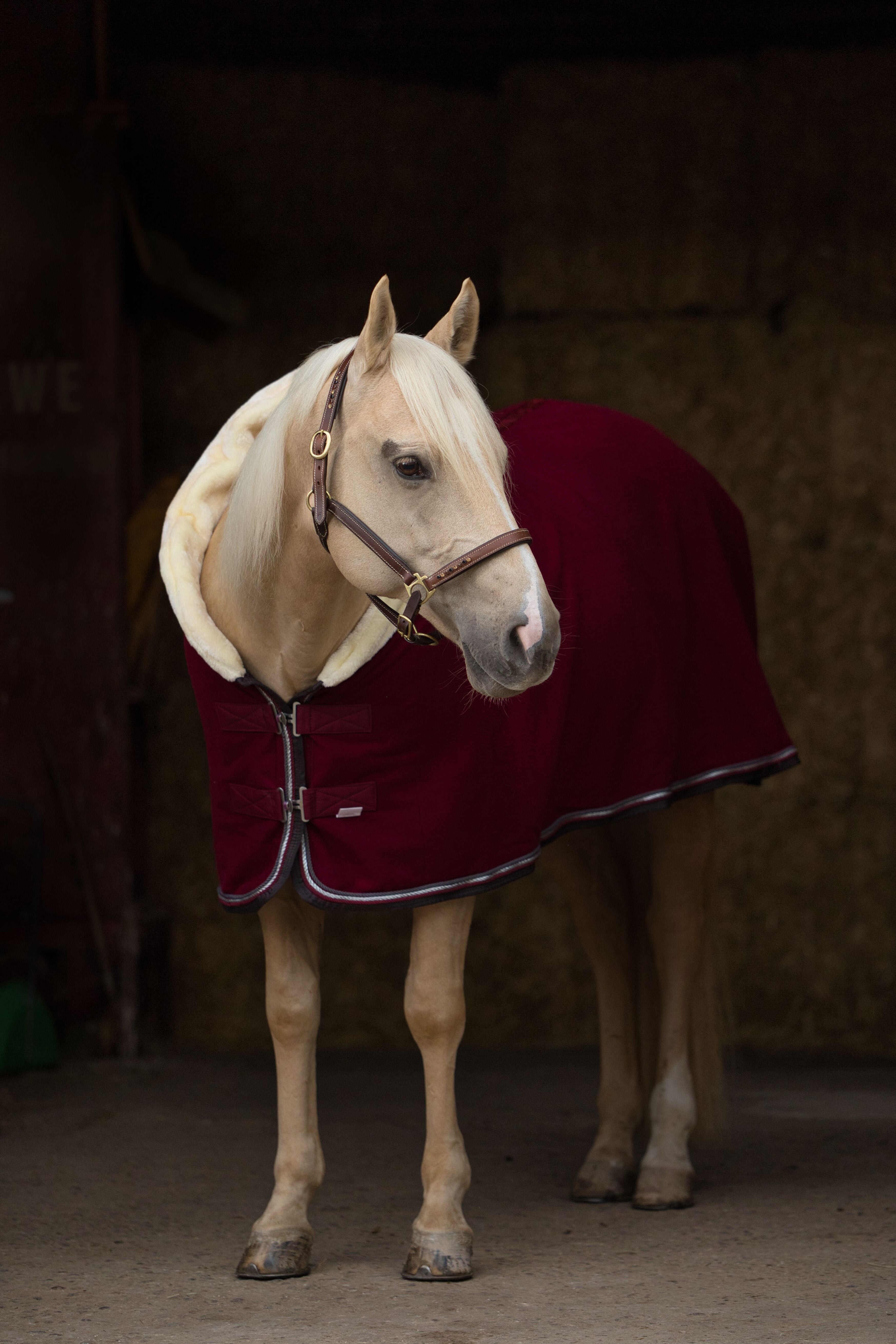 Fleece Abschwitzdecke Bordeaux-Grau