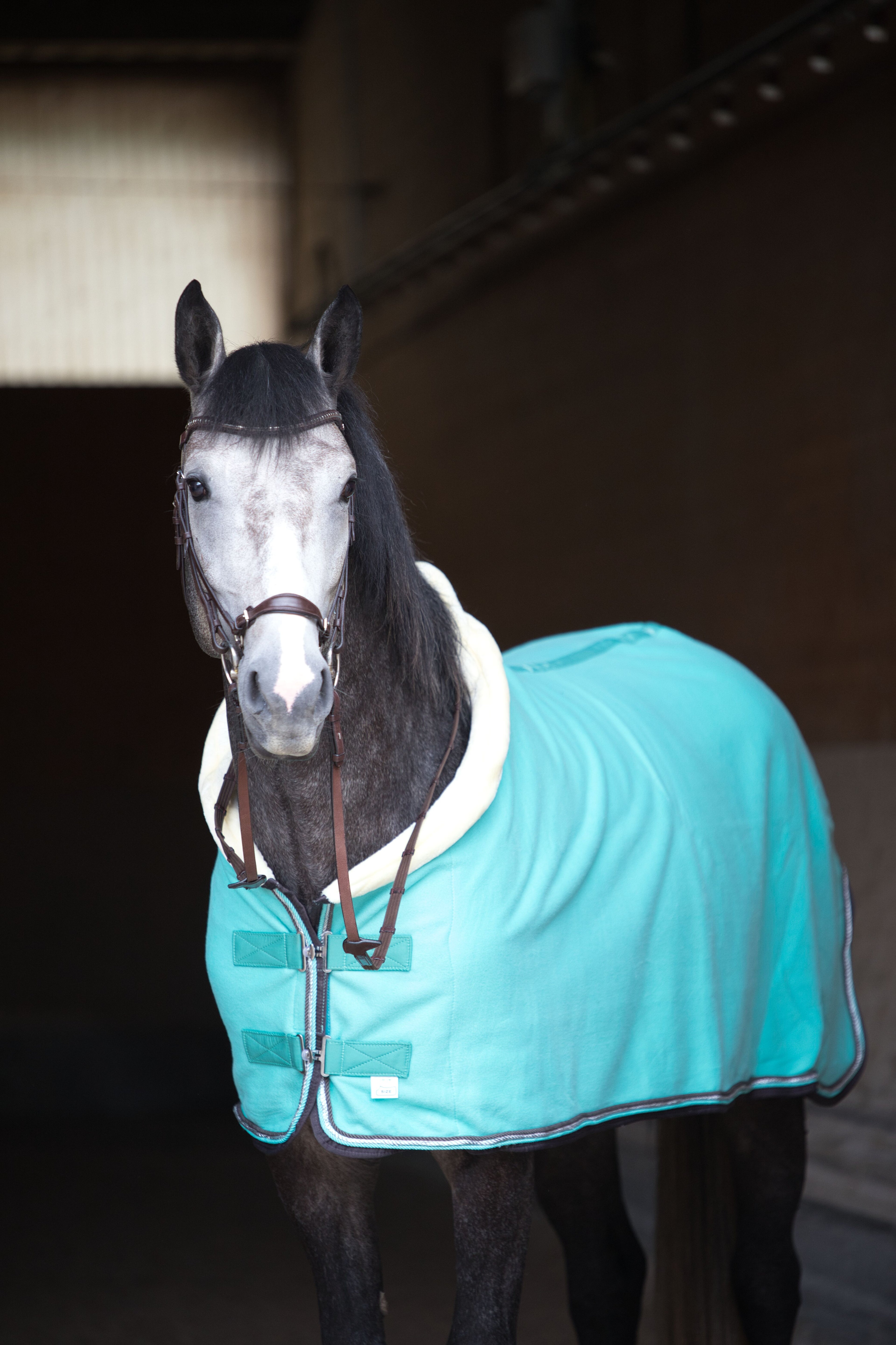 Fleece Abschwitzdecke Türkis-Grau