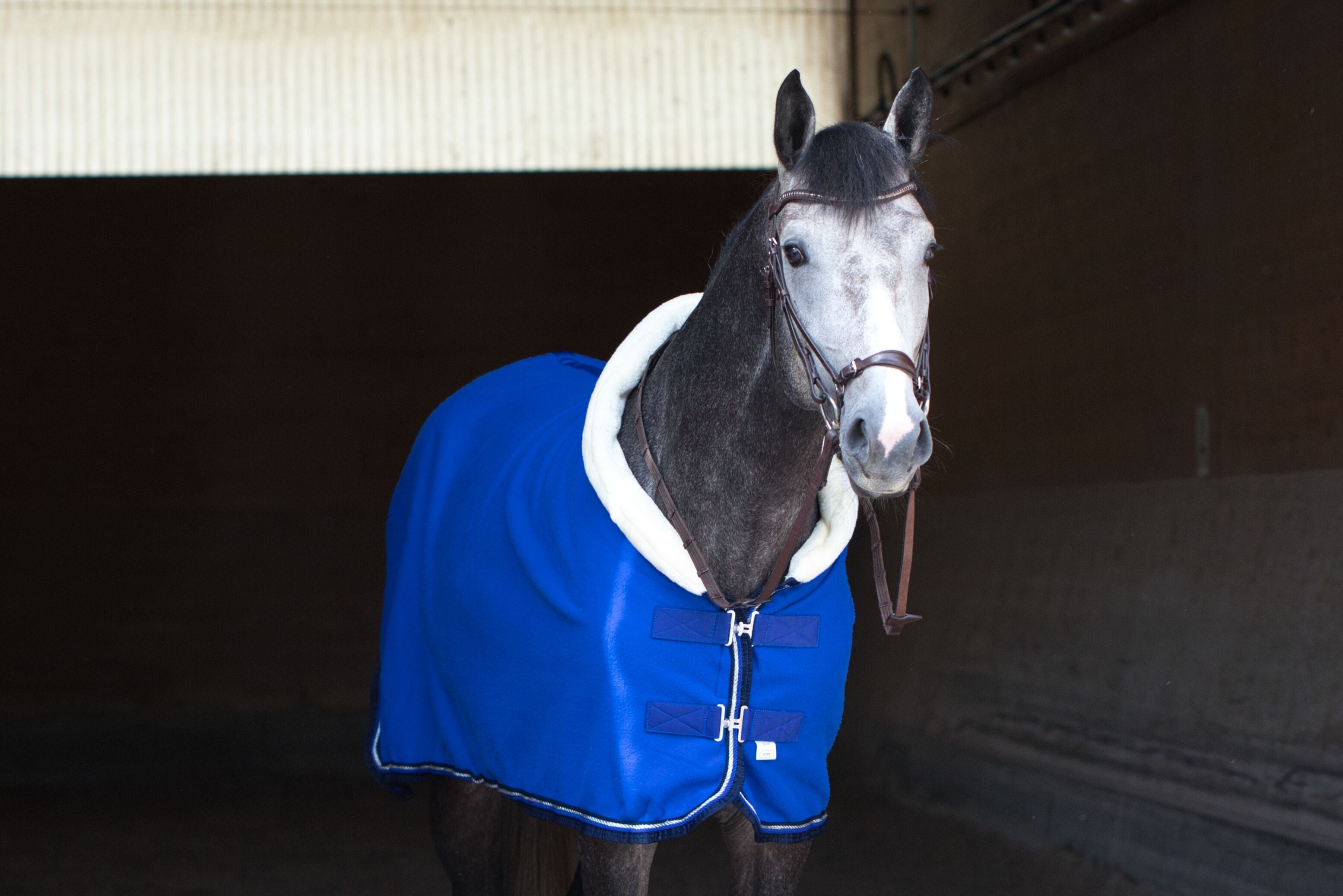 Fleece Abschwitzdecke Royalblau-Blau