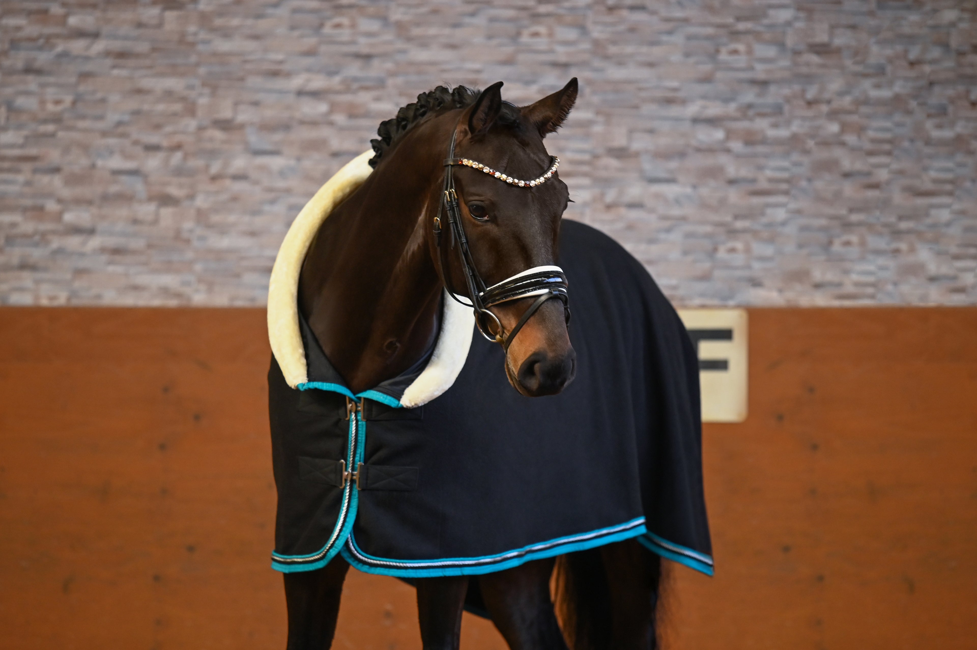 Fleece Abschwitzdecke Schwarz-Cyan