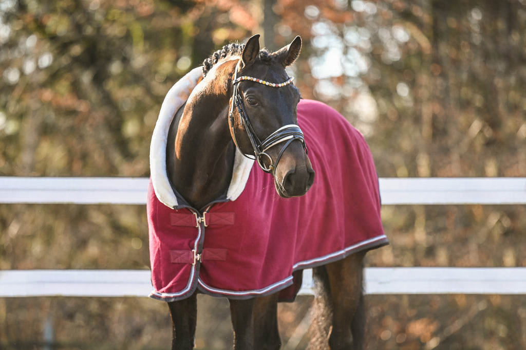 Fleece Abschwitzdecke Bordeaux-Grau