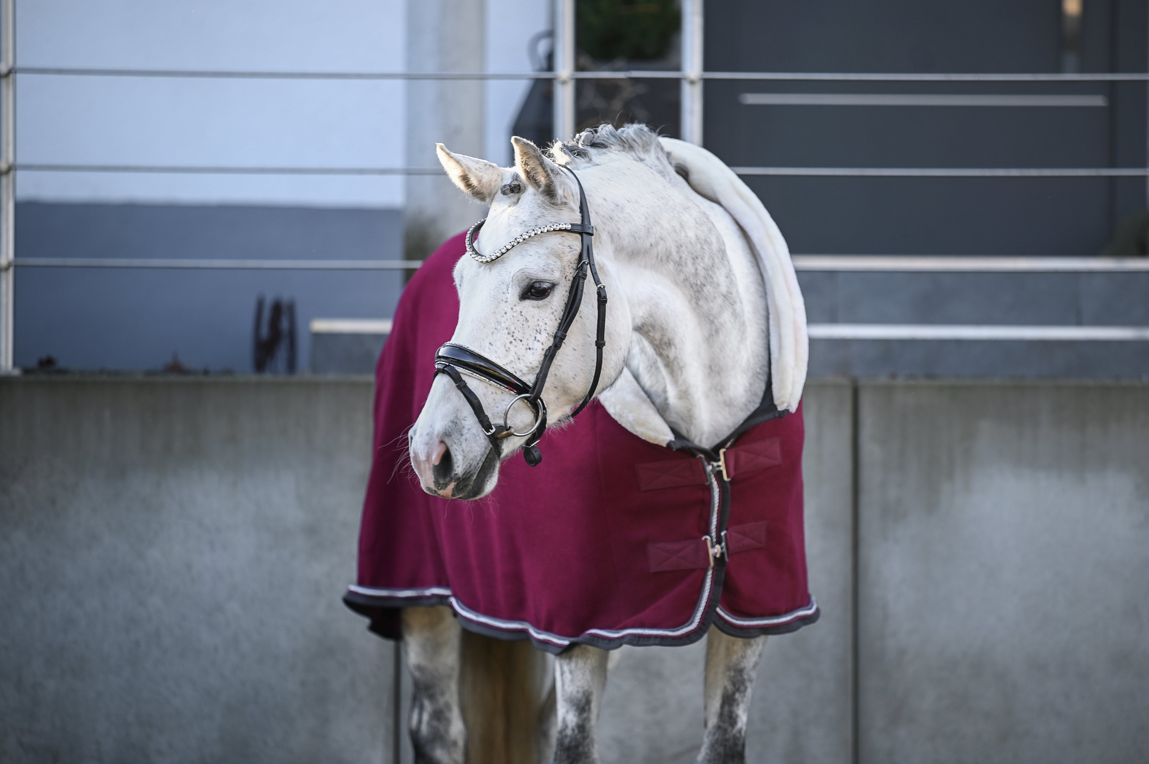 Fleece Abschwitzdecke Bordeaux-Grau