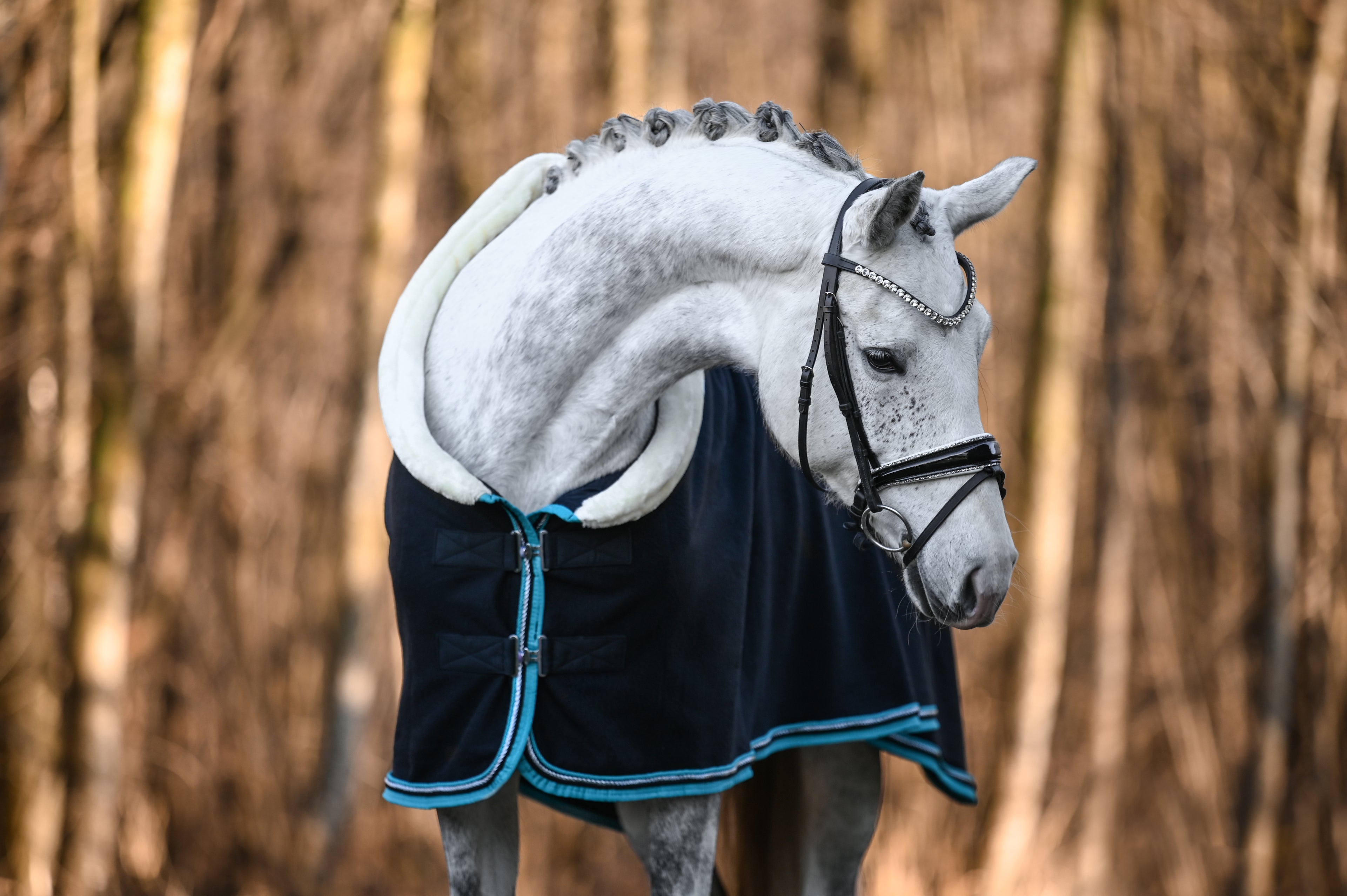 Fleece Abschwitzdecke Schwarz-Cyan