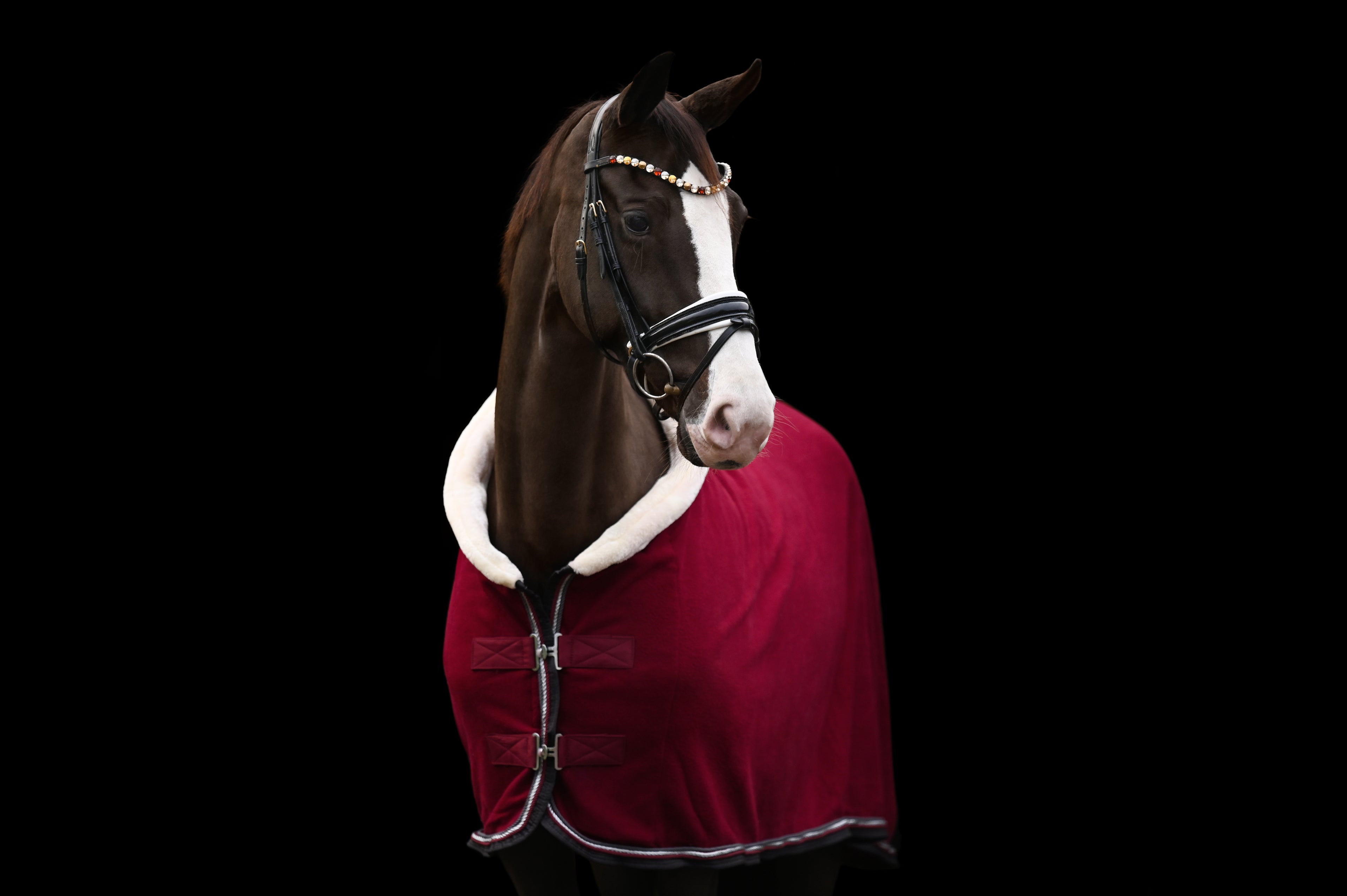 Fleece Abschwitzdecke Bordeaux-Grau