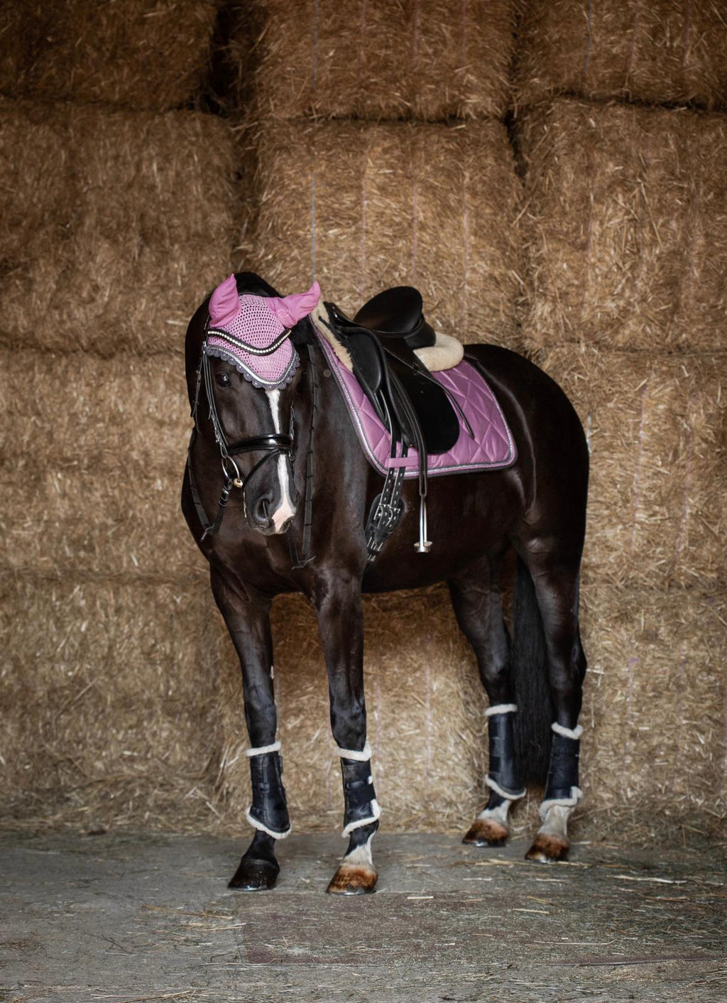 Schabrackenset – ALTROSÉ