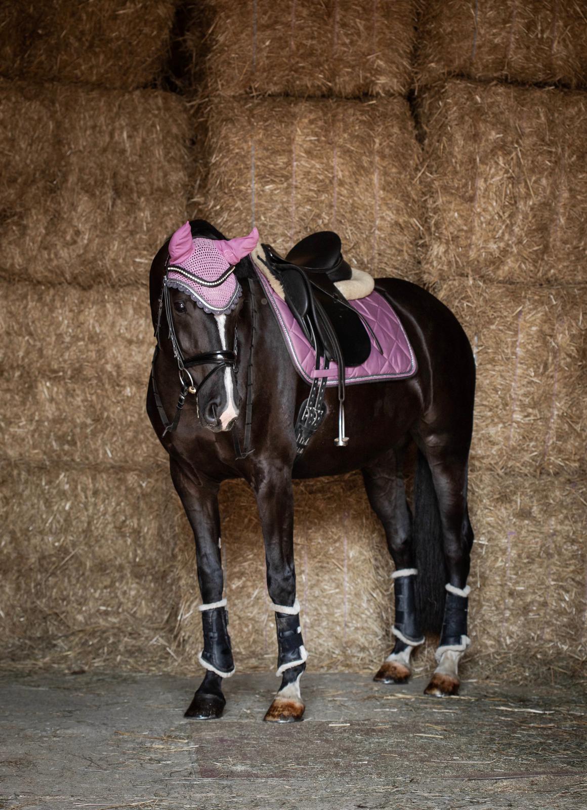 Schabrackenset – ALTROSÉ