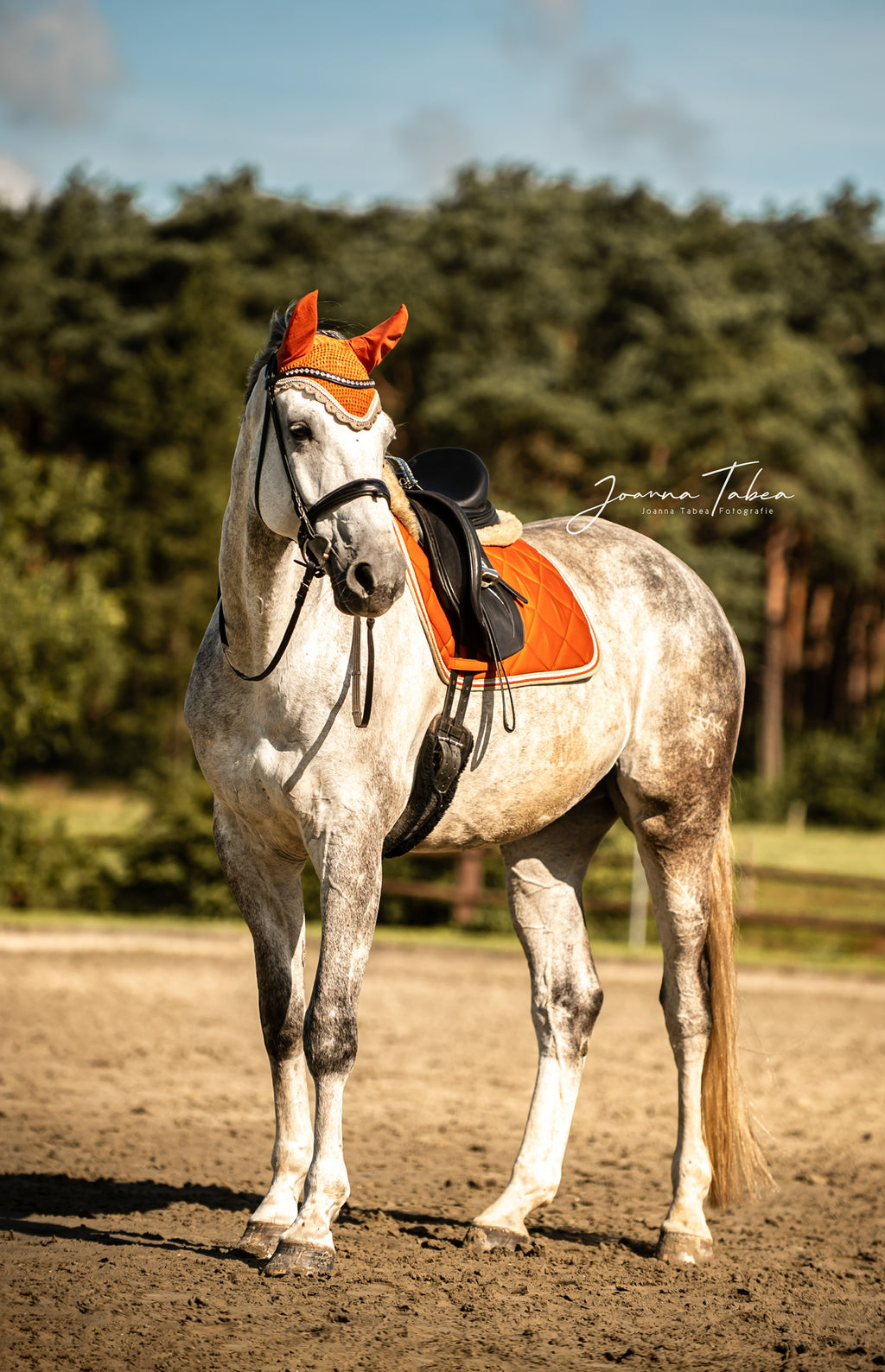 Schabrackenset – ORANGE